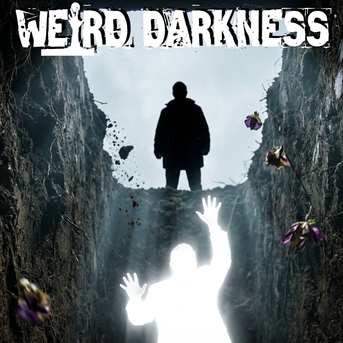 NDE | What Happens When You Die? These People Actually Know Because They've Been There and Back!