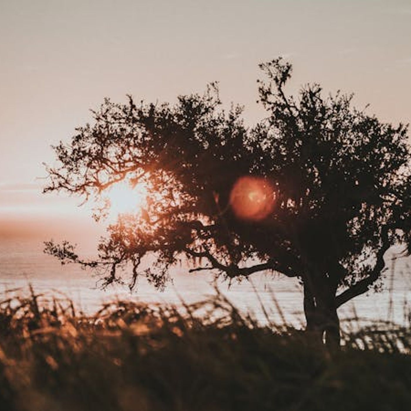 What’s Next for an Aging Pastor?