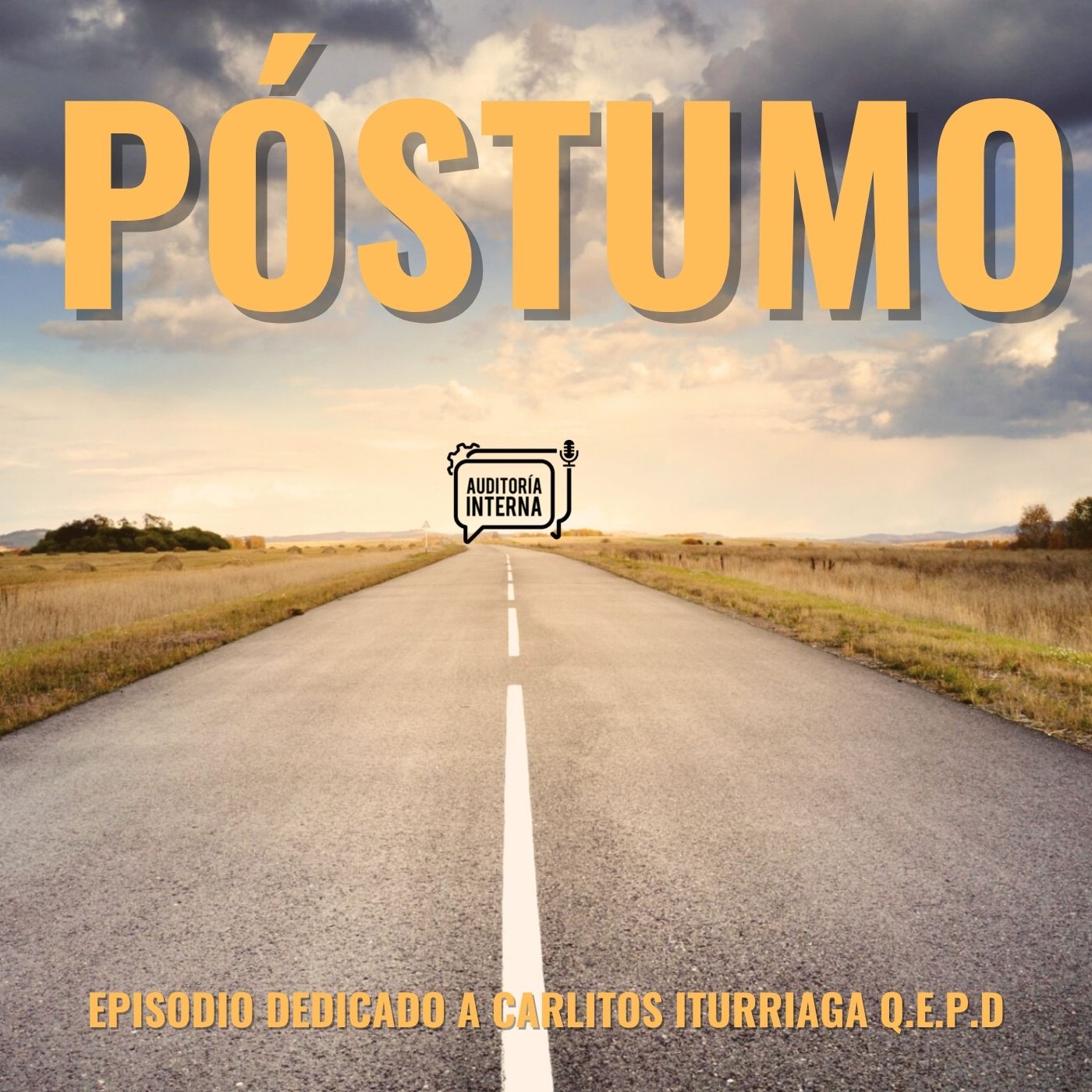 Auditoria Interna