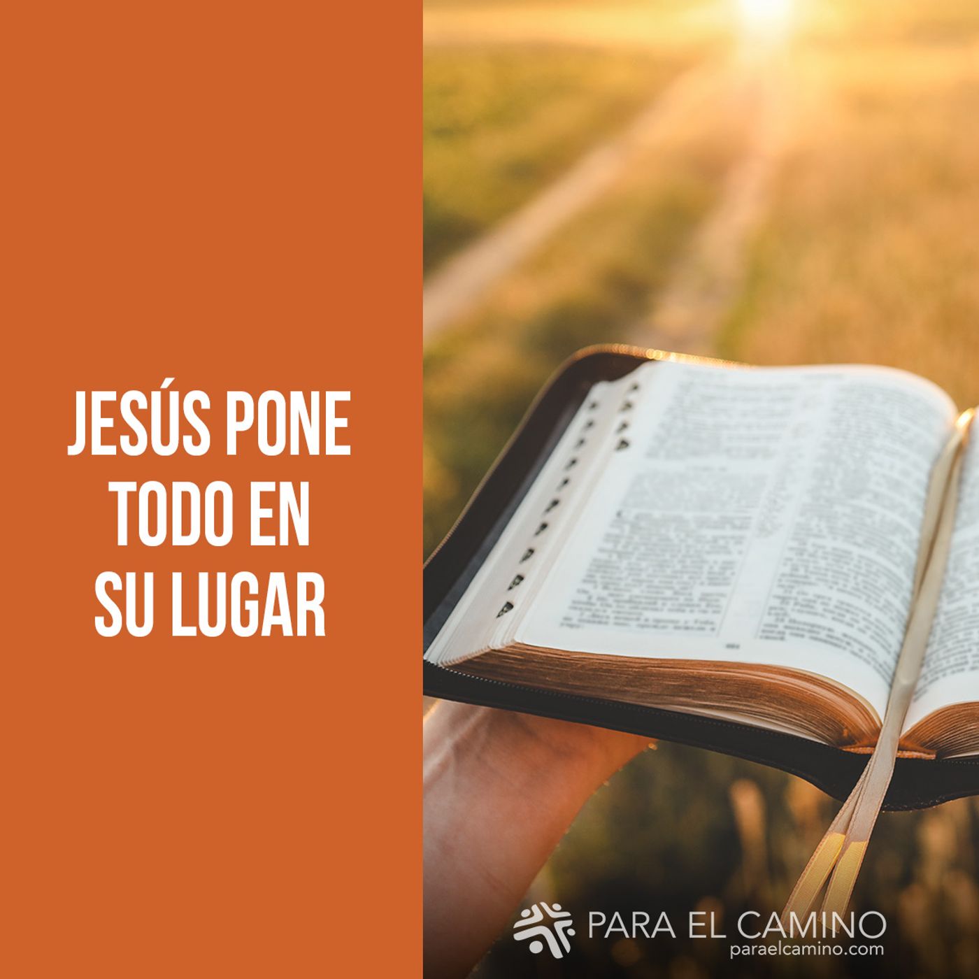 Jesús pone todo en su lugar Jesús pone todo en su lugar