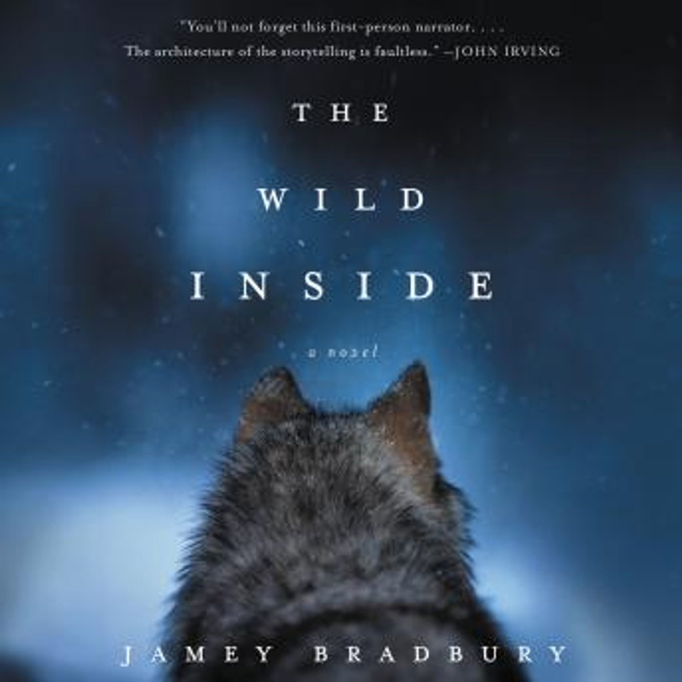 Audiobooks in Fiction, Coming of Age