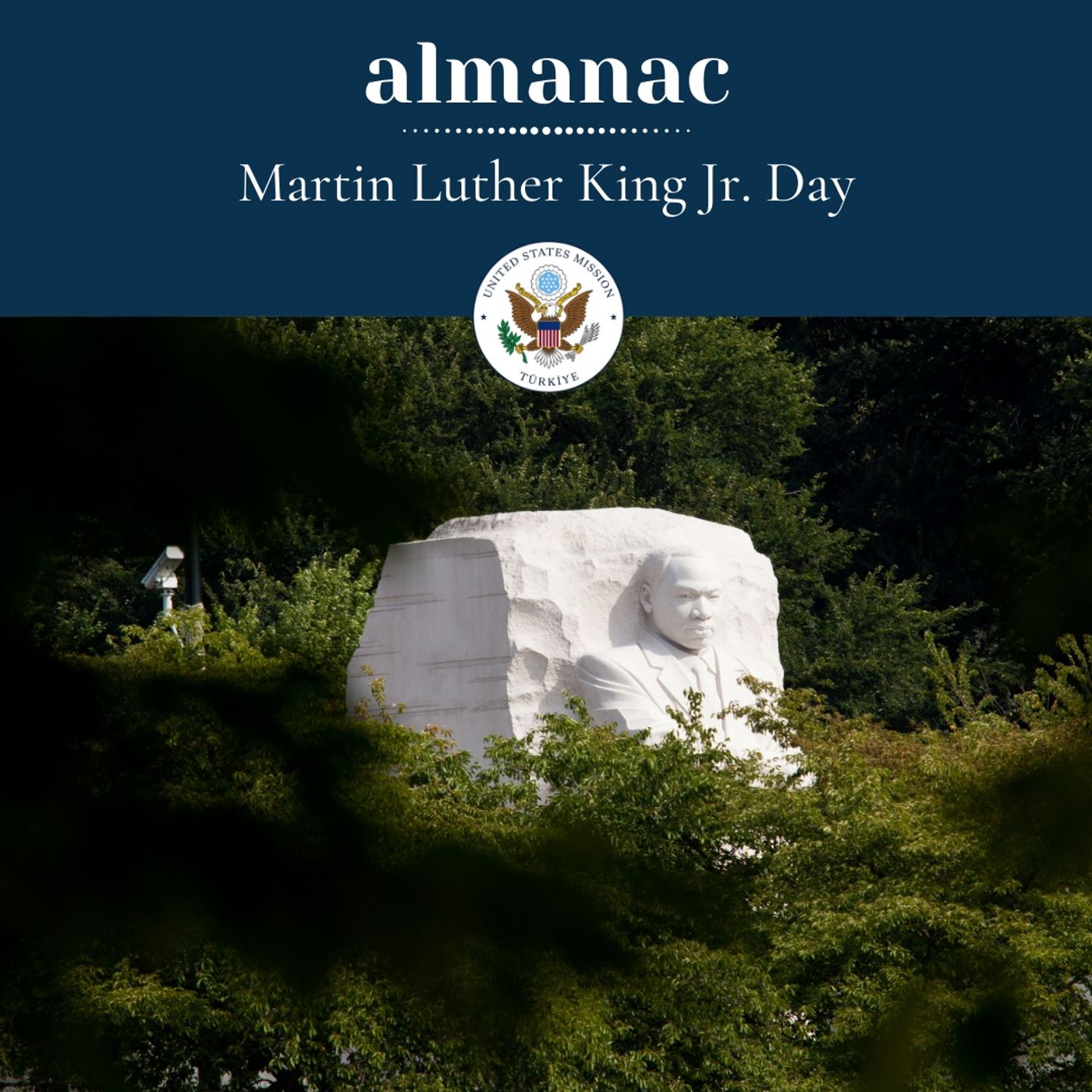 MLK Day episode artwork