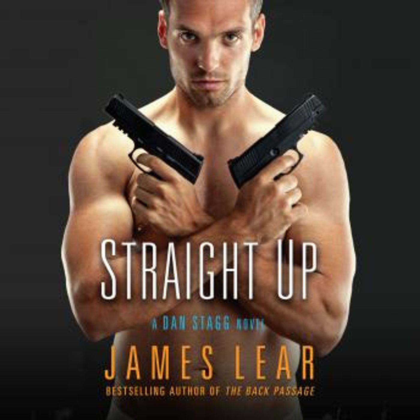 Straight Up: A Dan Stagg Novel by James Lear episode artwork