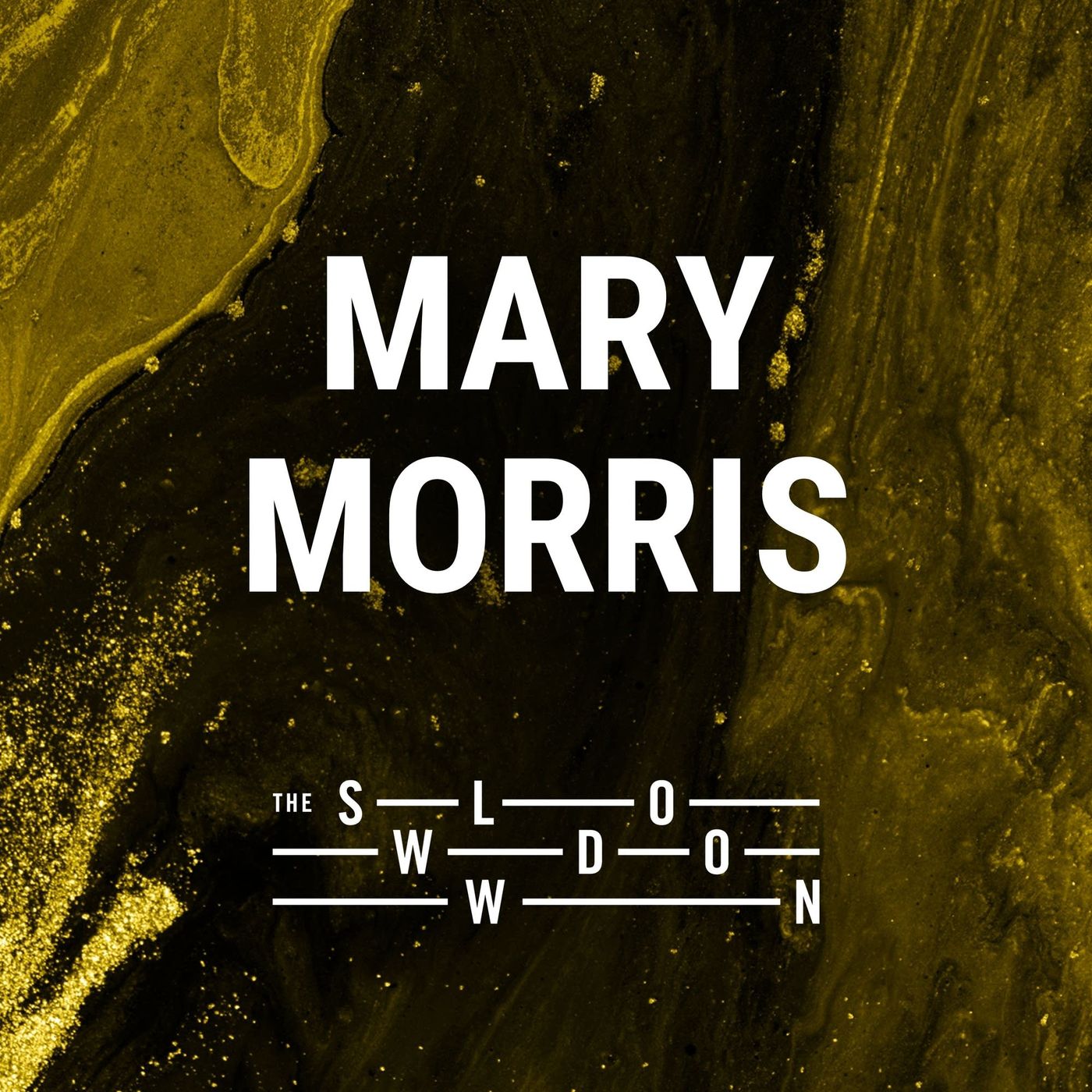 1526: Missing by Mary Morris episode artwork