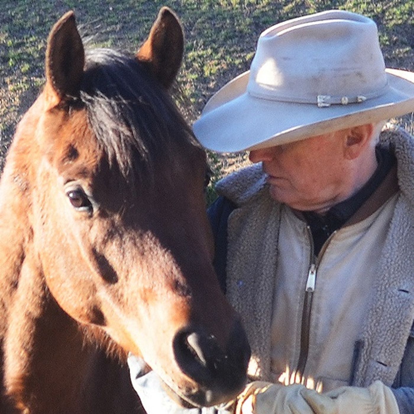 30 (Part 1) Soul of a Horse Author Joe Camp Talks Horses and the Deep Lessons They Teach episode artwork