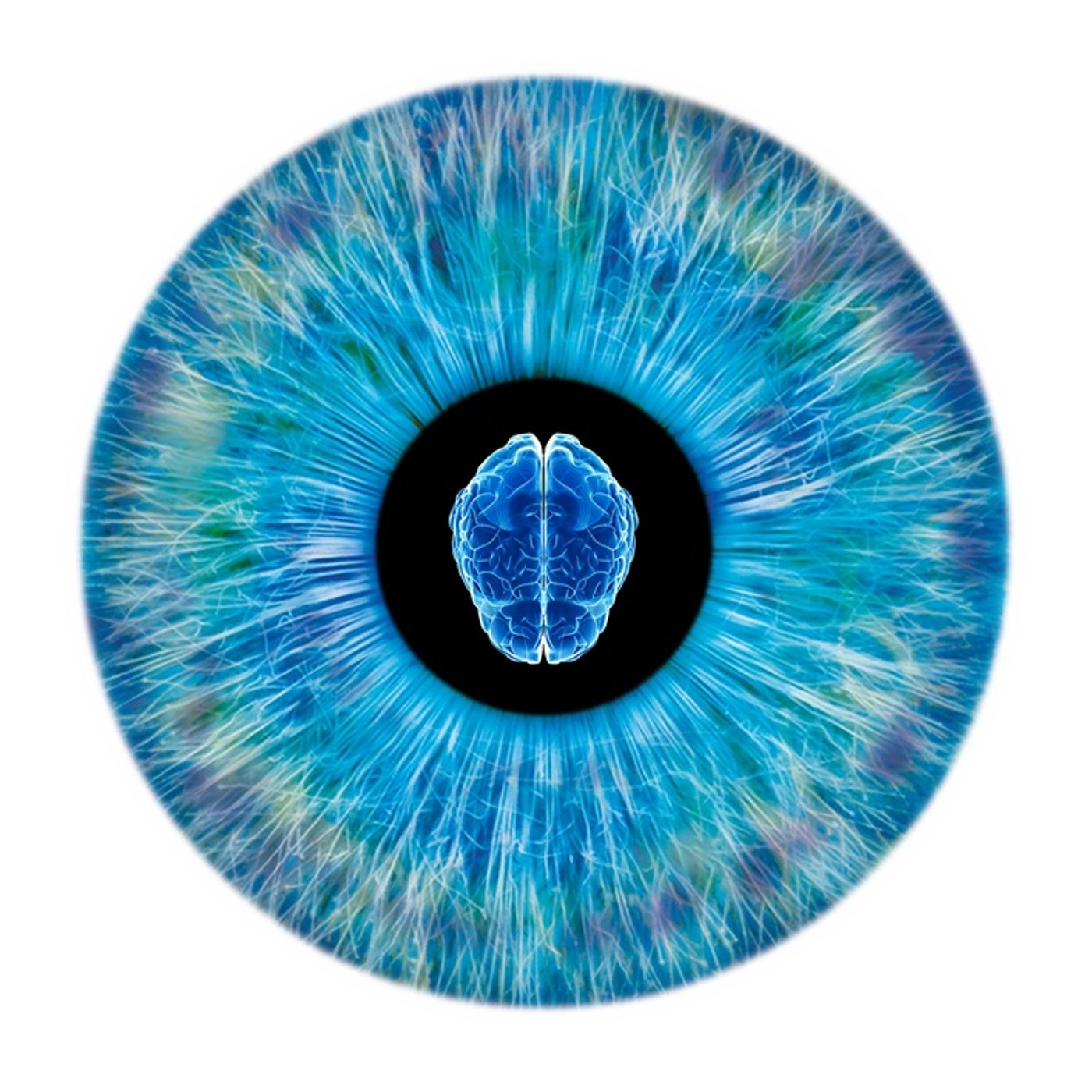 The Neuropticssmart's Podcast