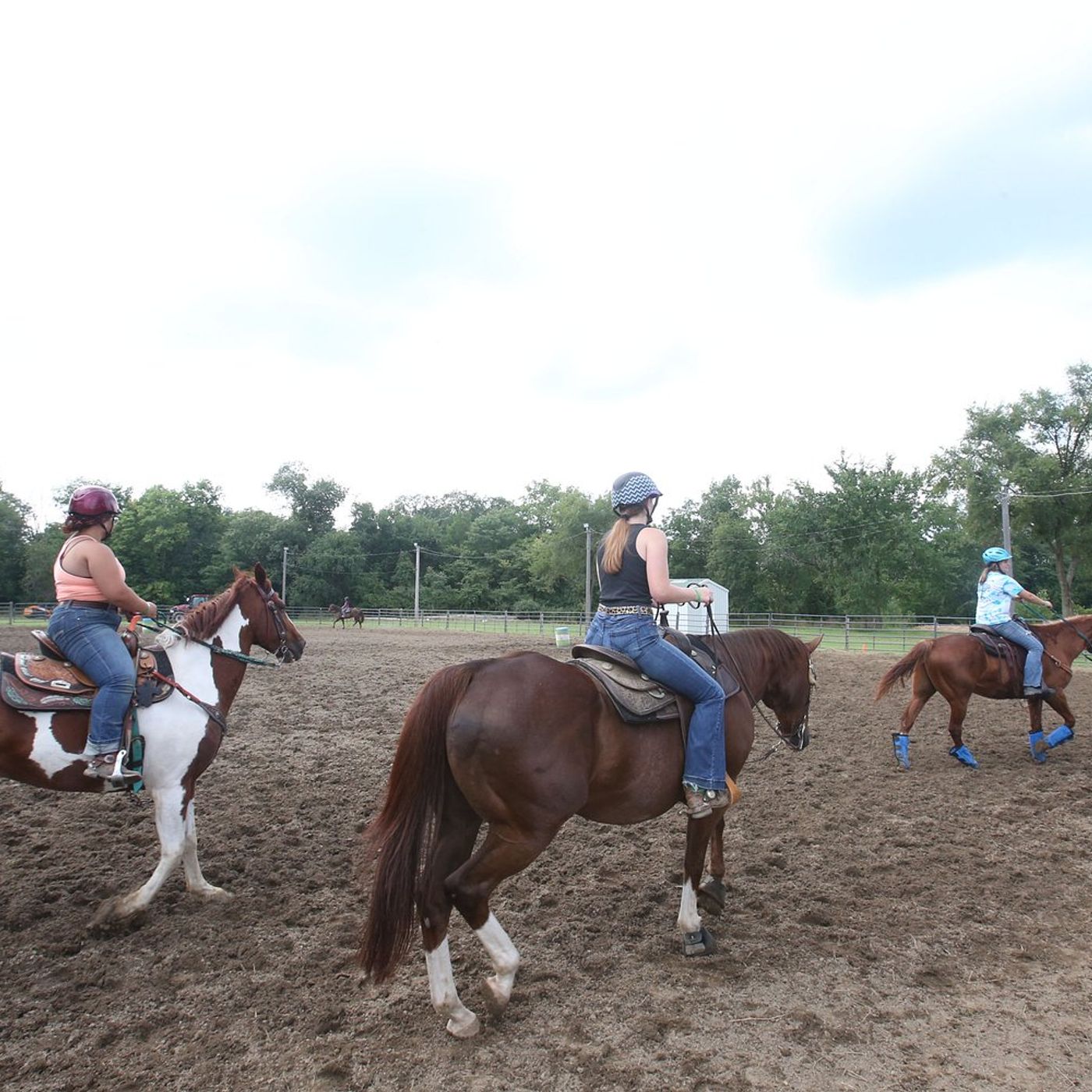 La Salle County 4-H Show and Junior Fair taking over weekend episode artwork