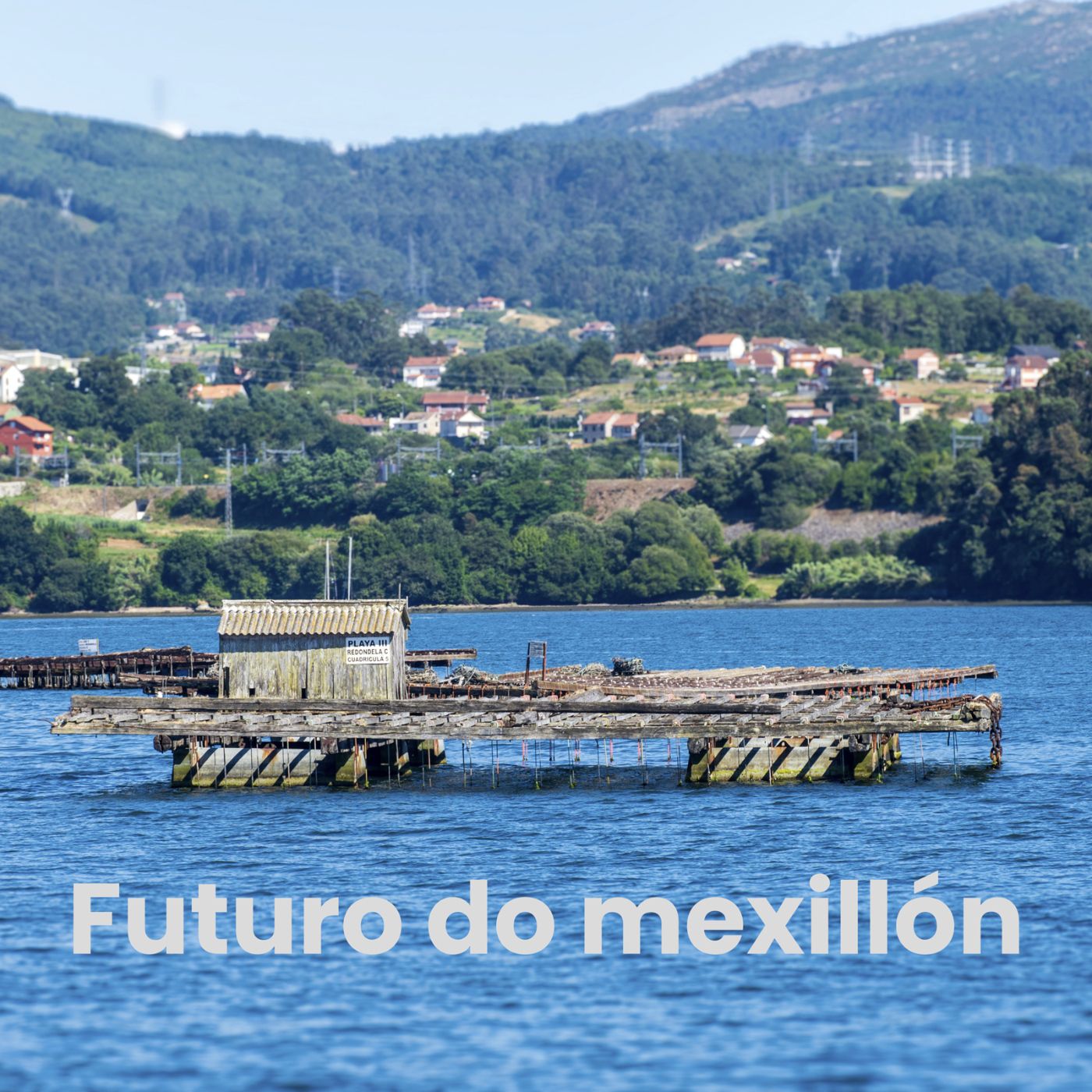 Efer 739 (31-3-26): O futuro do mexillón episode artwork