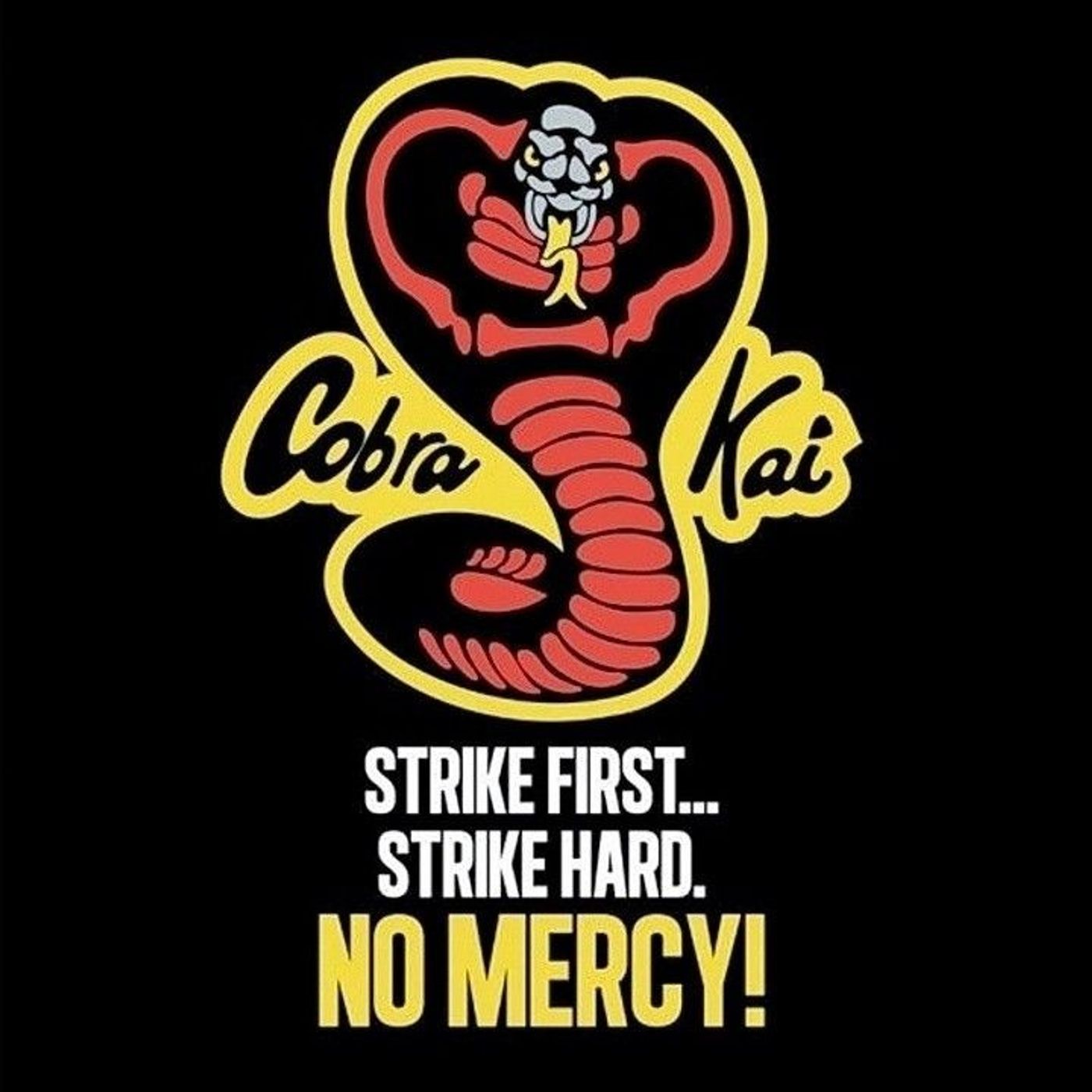 3 Lessons I had Learnt From The Cobra Kai Series