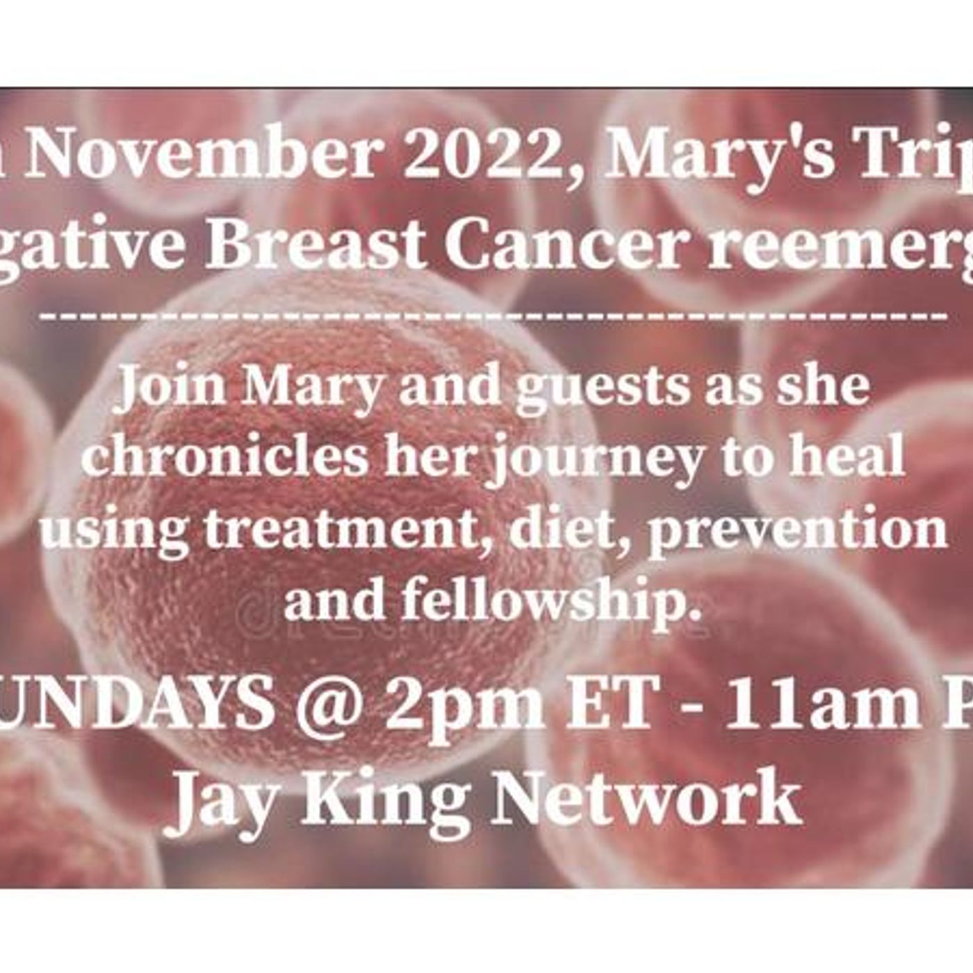 MARY HAD A LITTLE CANCER W/ MARY HOPKINS episode artwork