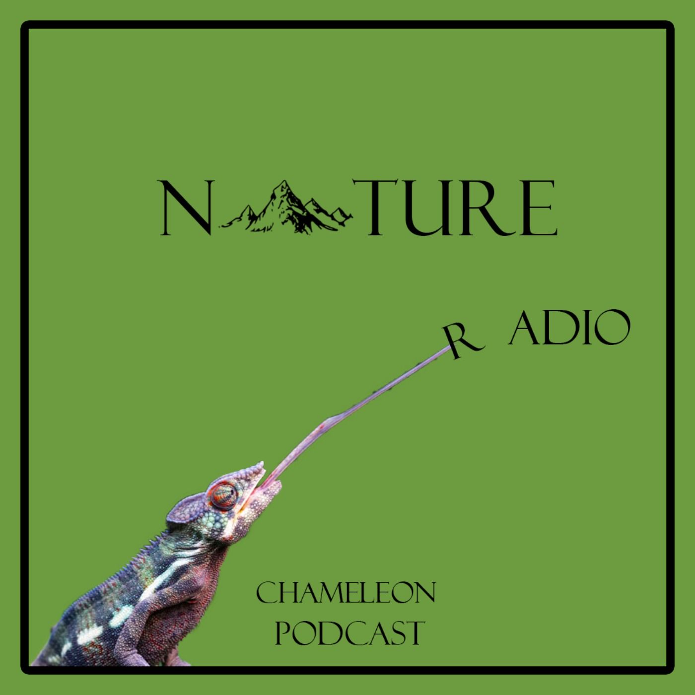 Nature Radio l رادیو طبیعت
