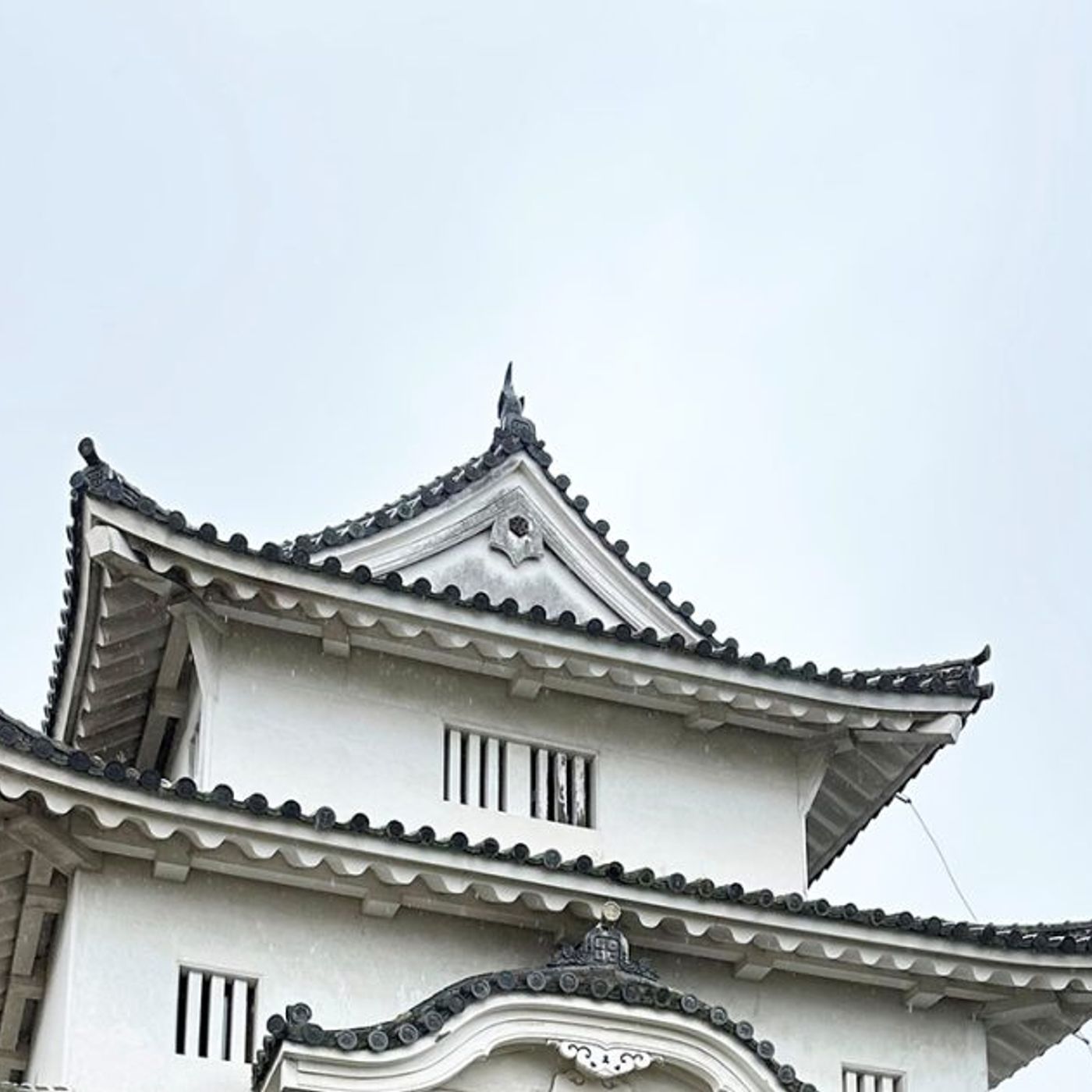 城島茂＆森本慎太郎、丸亀城の石垣復旧現場にバラエティ初潜入！明日の『鉄腕DASH』はDASH島 夢の2大企画SP