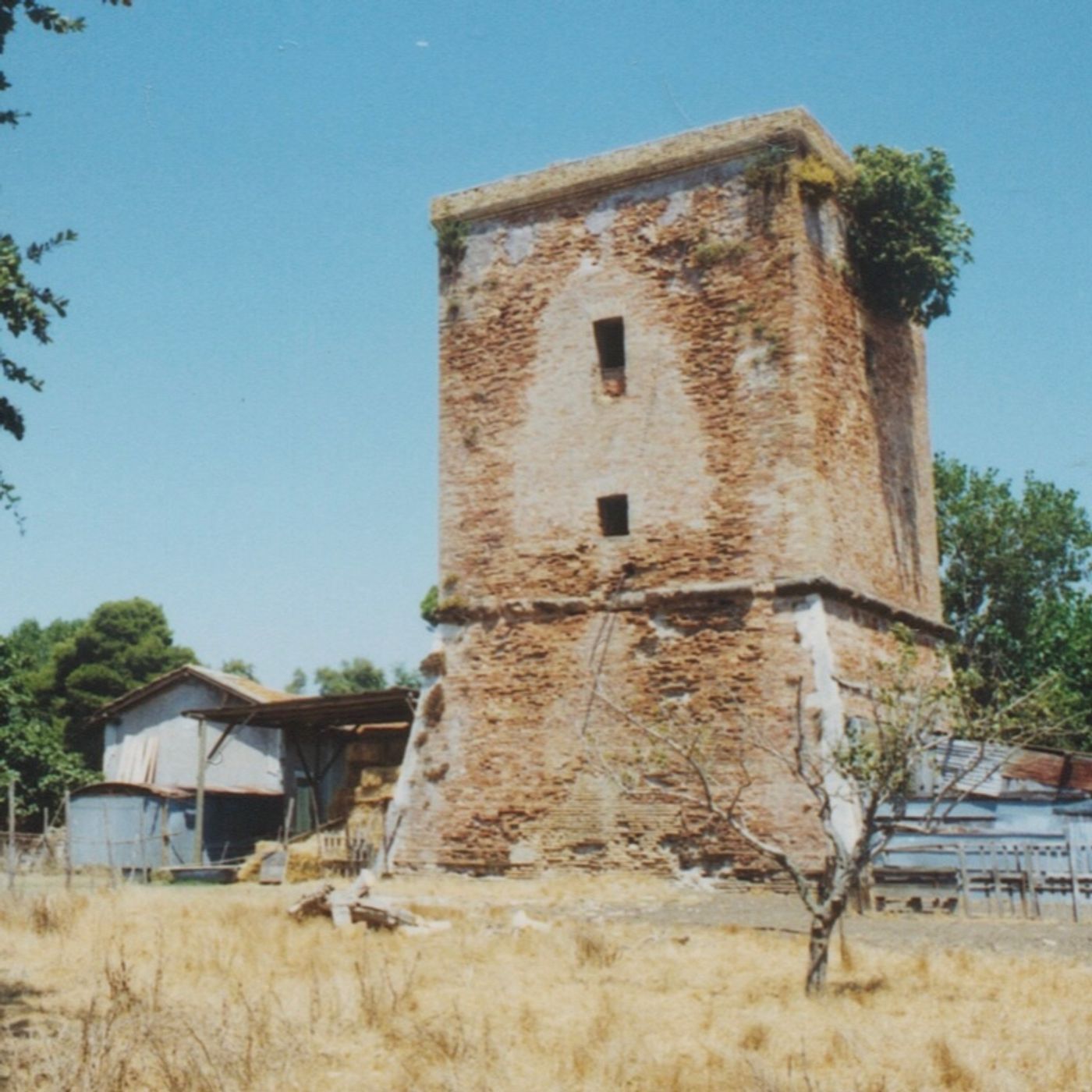 Torre NICOLINA-Fiumicino episode artwork