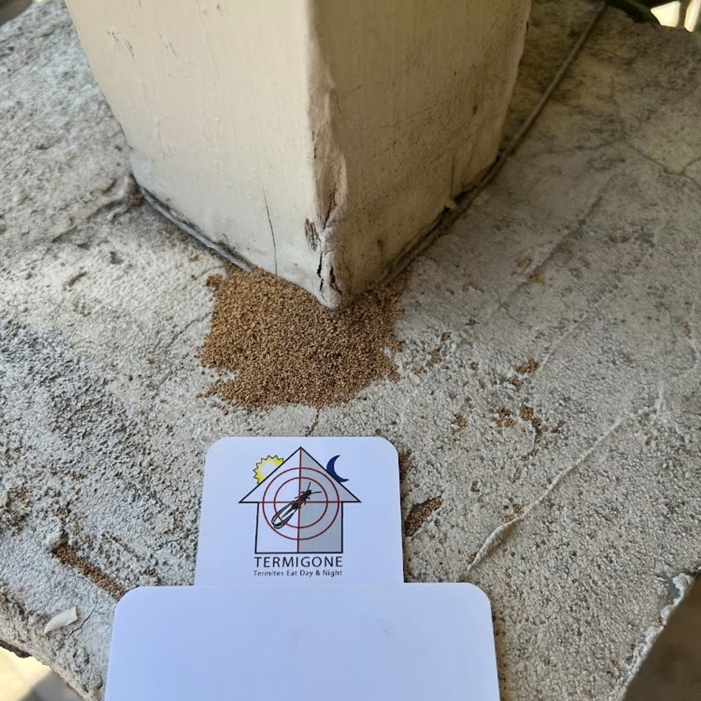 The Anaheim Pest Blueprint with Termigone Exterminators episode artwork