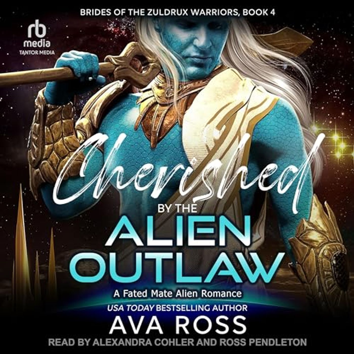 Get Premium Audiobooks for Your Library