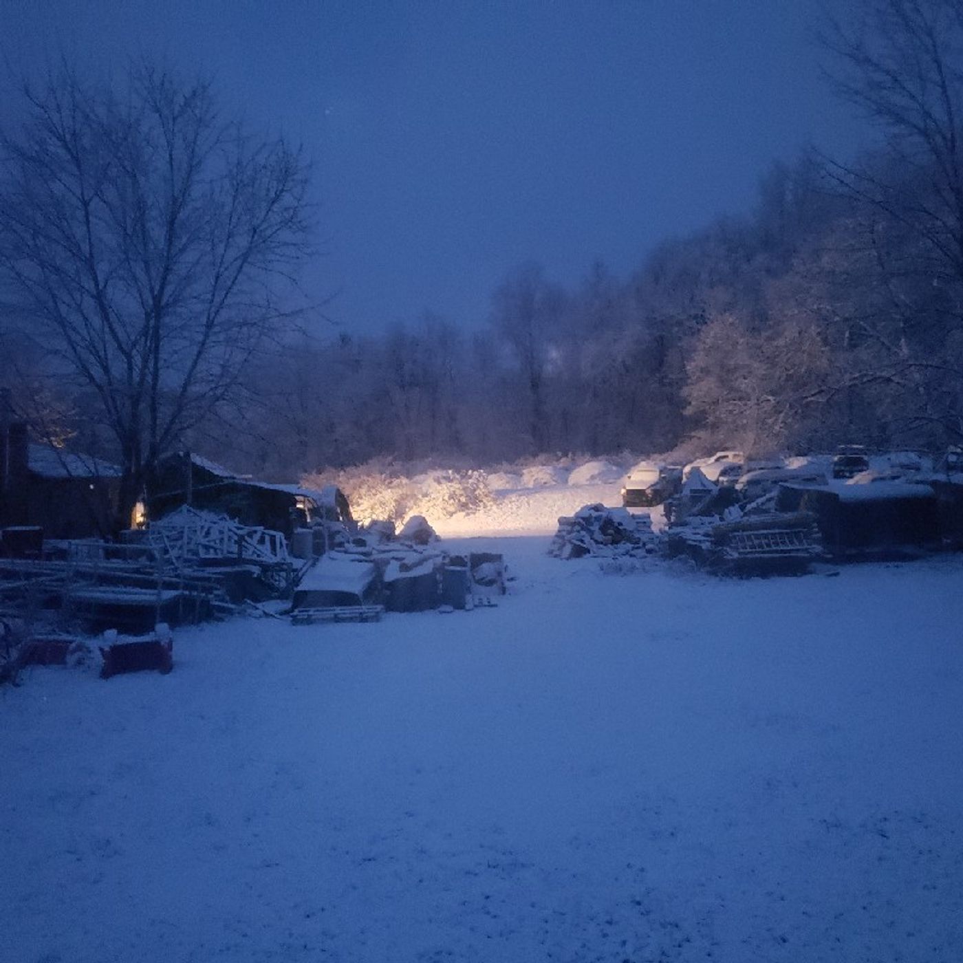 Austin matice Podcast  Time\'s podcast