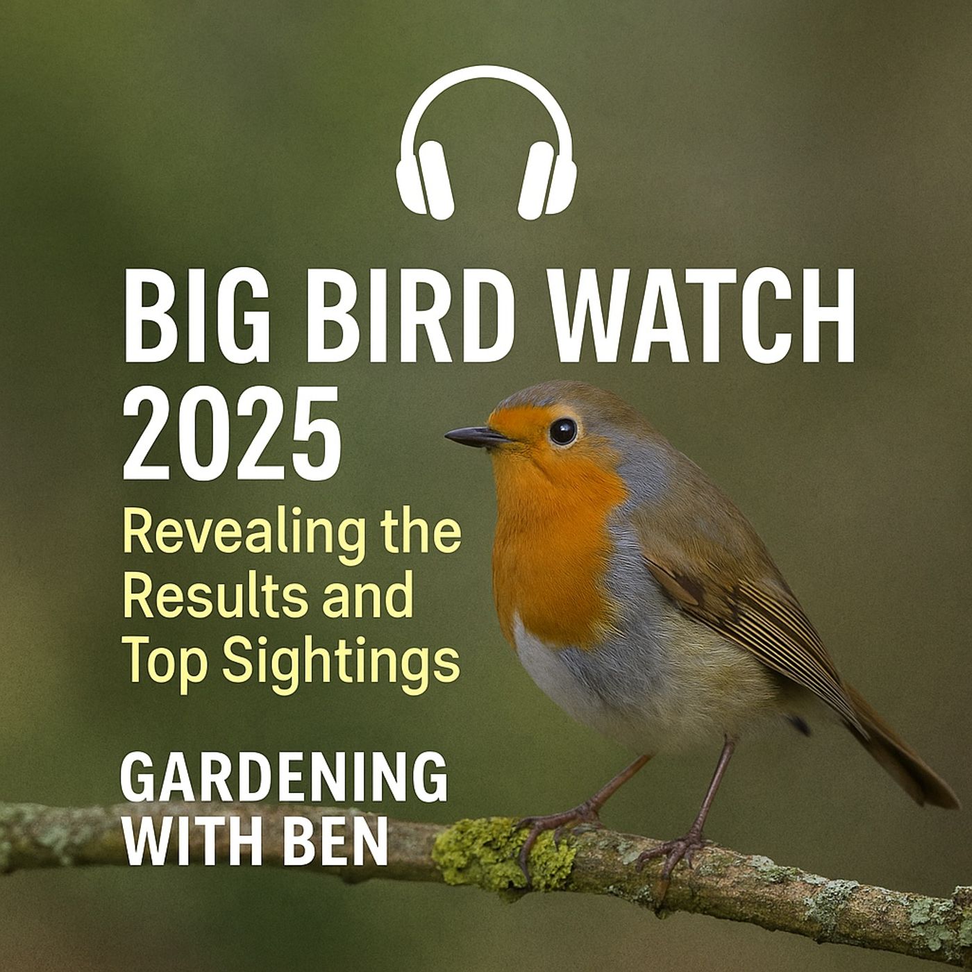 🎧 🕊️ Big Bird Watch 2025: Revealing the Results and Top Sightings episode artwork