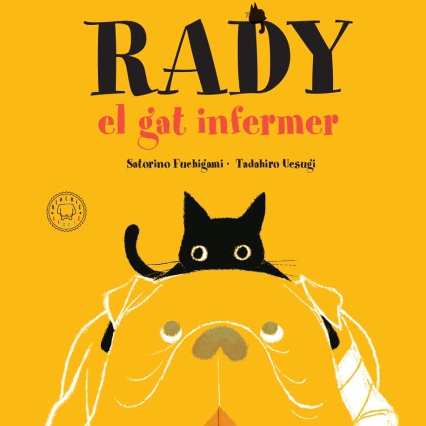 Roda de contes (41 -  Radi, el gat infermer) 25 11 2021 episode artwork