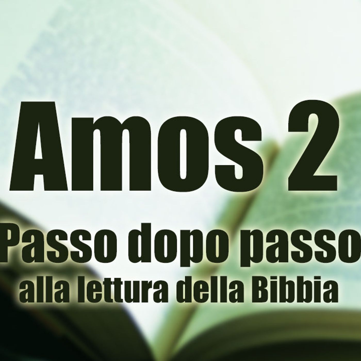Passo dopo passo alla lettura della Bibbia