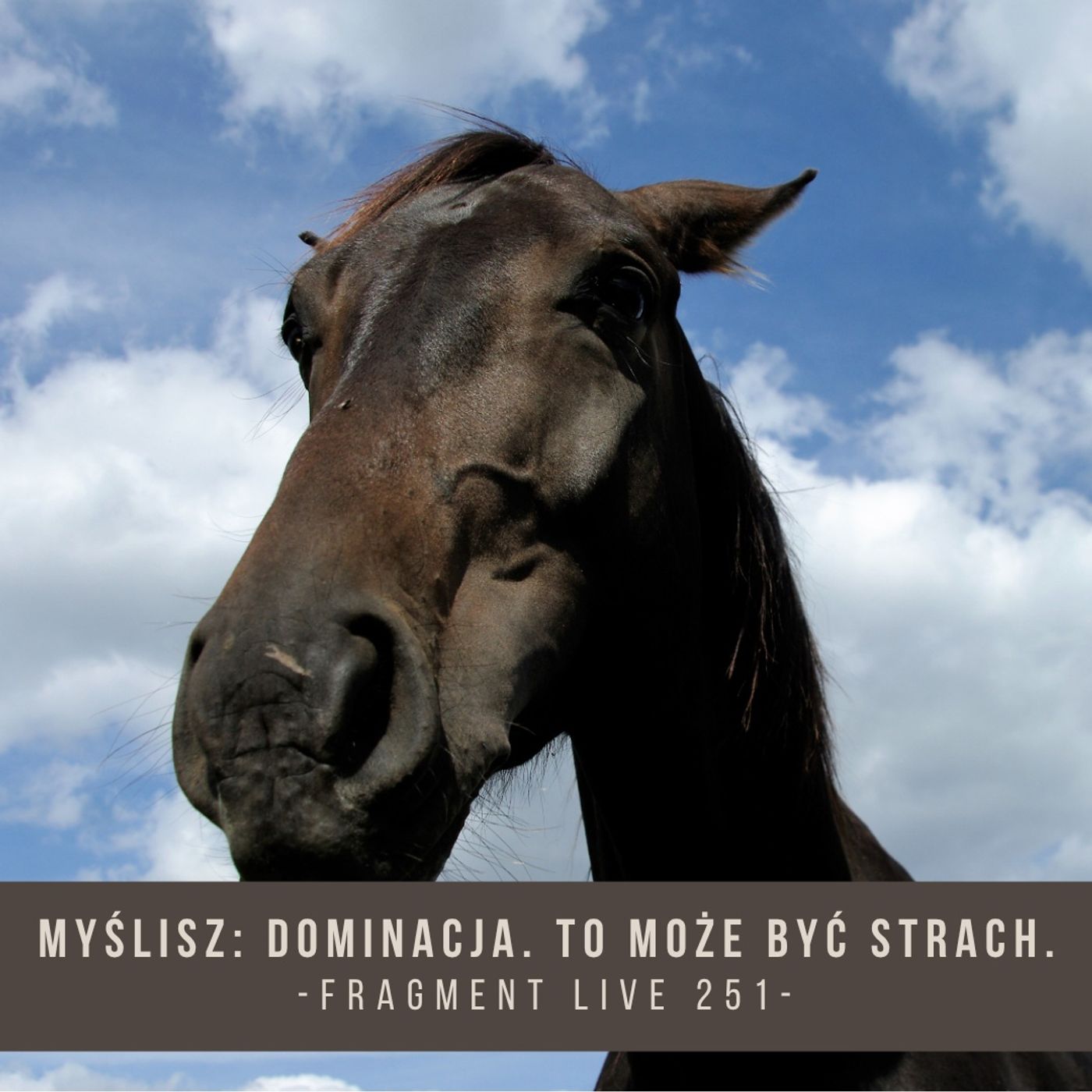 Myślisz dominacja. To może być strach - fragment live 251