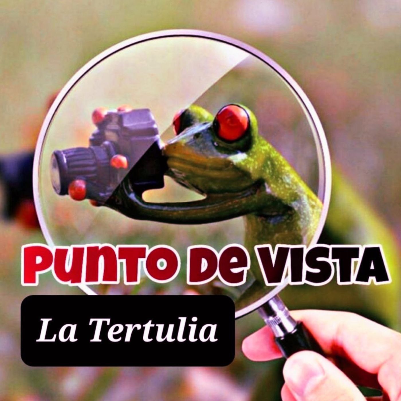 Punto de Vista