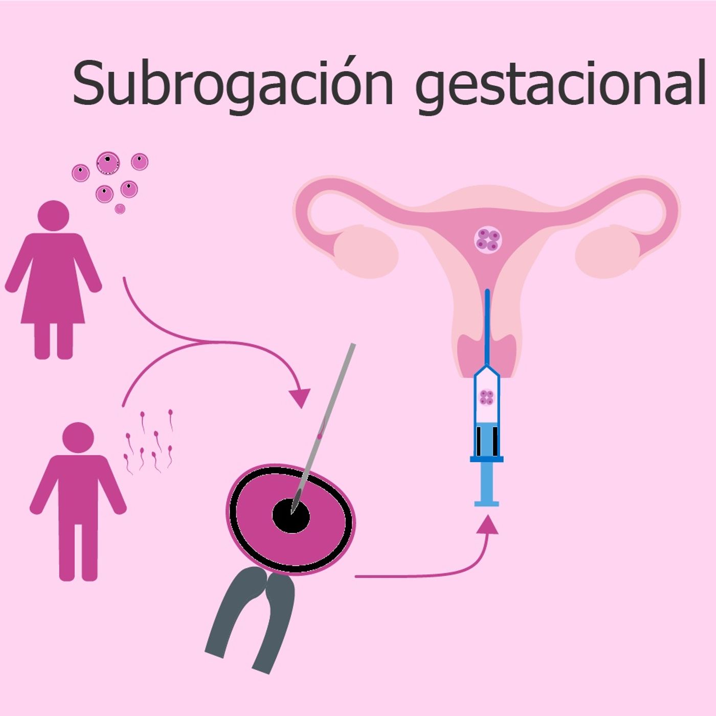 Maternidad Subrogada. episode artwork