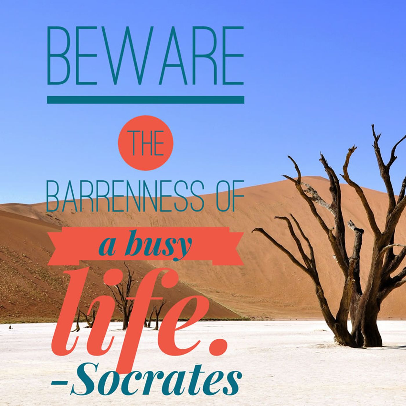 Beware The Bareness Of A Busy Life