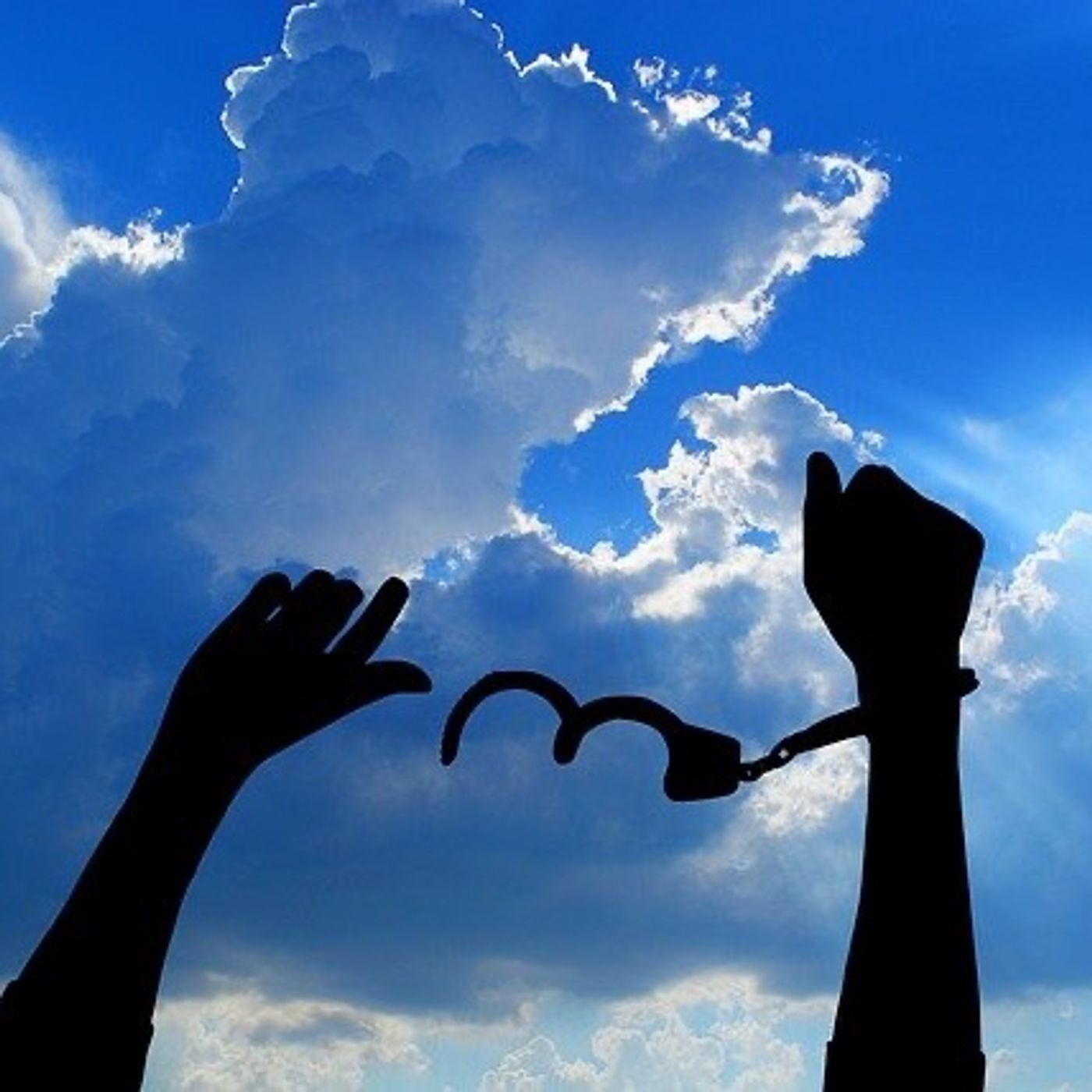 Kosher News & Torah Talk