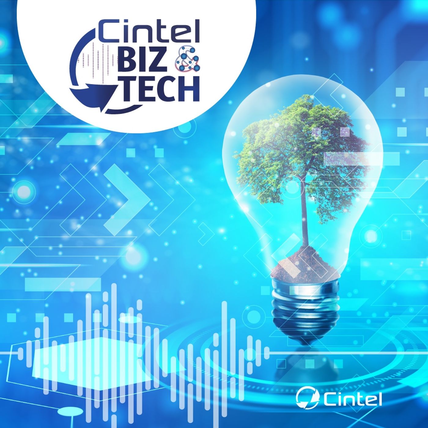 CINTEL Biz & Tech