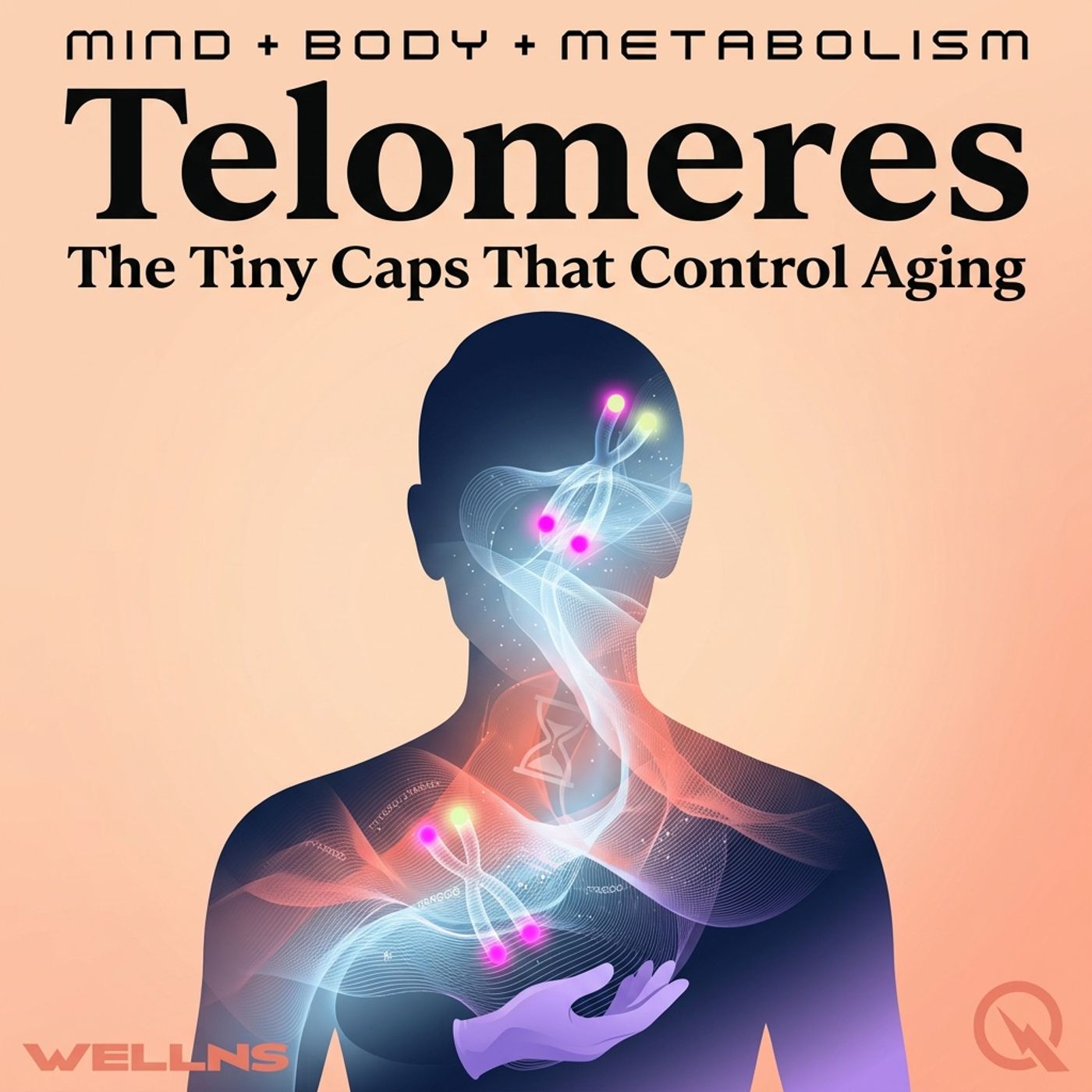Telomeres podcast artwork