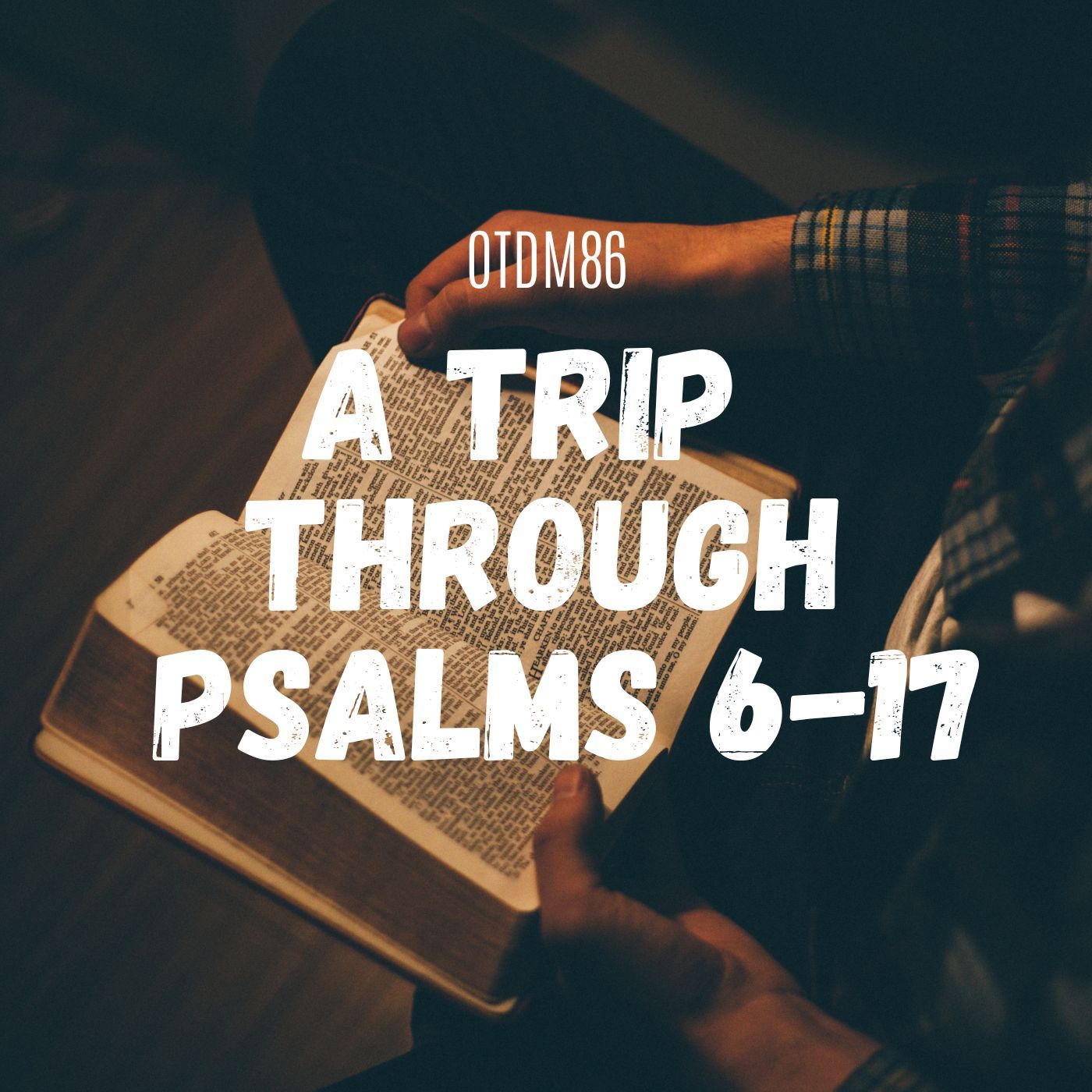 OTDM86 A Trip Through Psalms 6-17