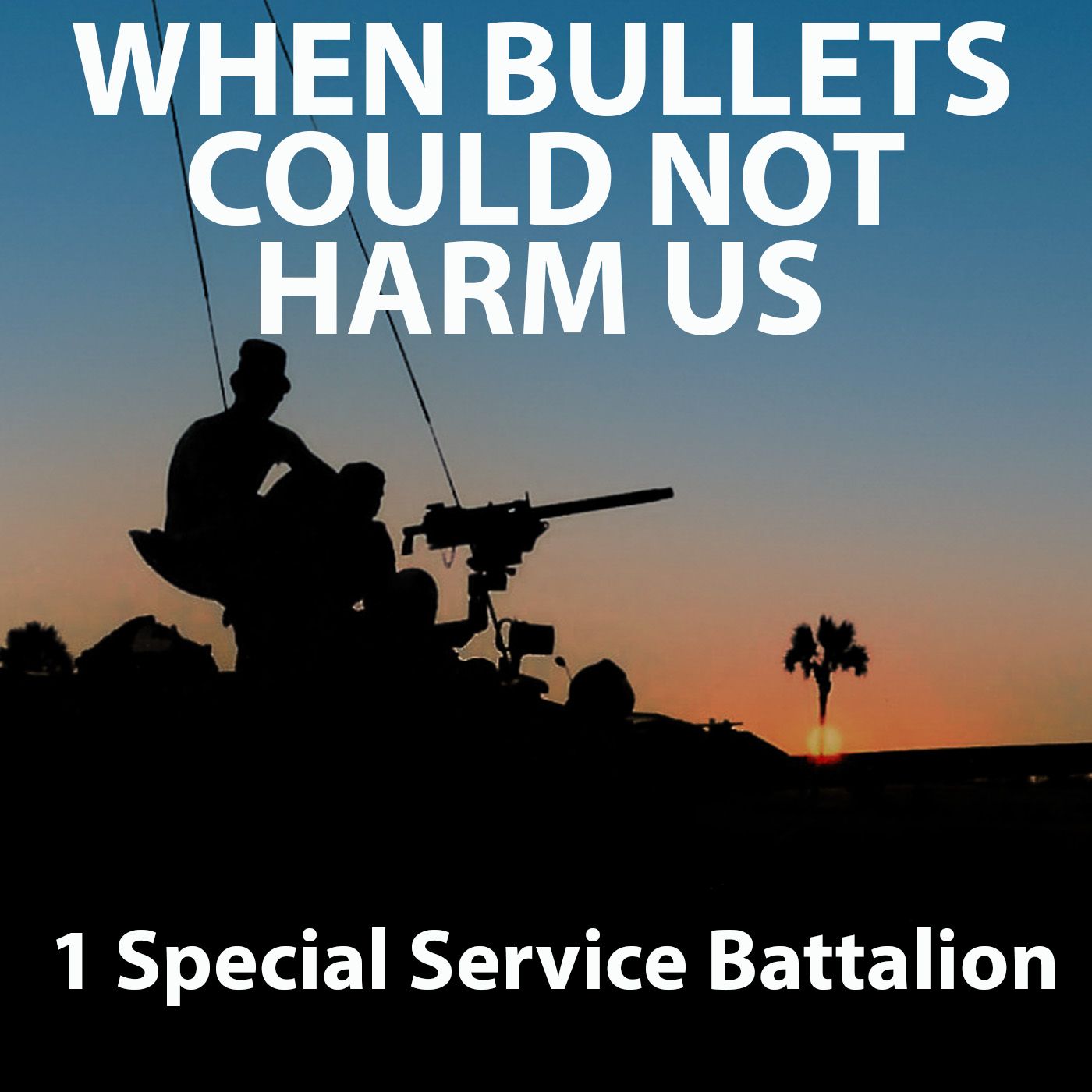 When Bullets Could Not Harm Us: 1 Special Service Battalion: Angolan Bush War episode artwork