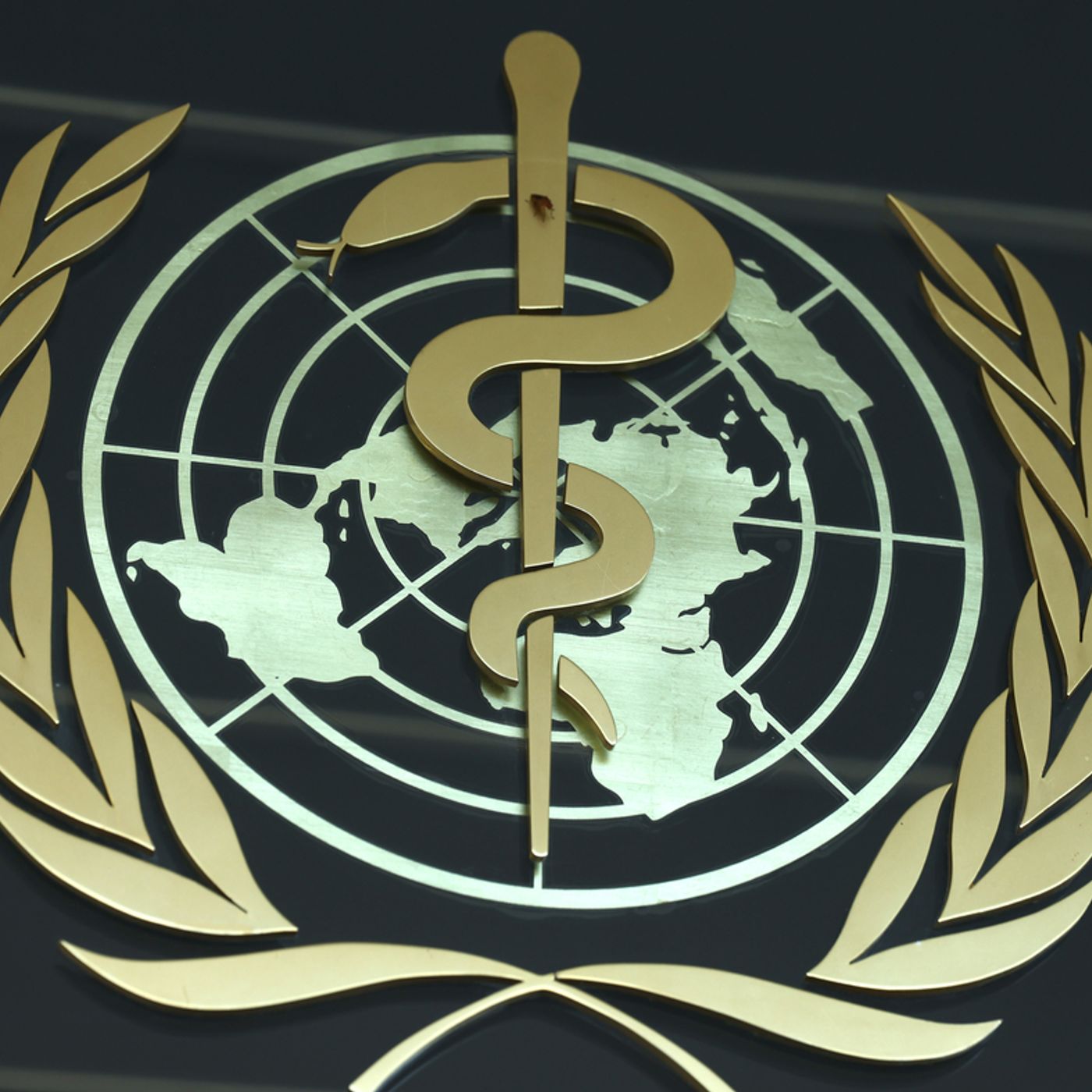 WHO Pandemic Accord Treaty Conspiracy Podcasts | New World Order