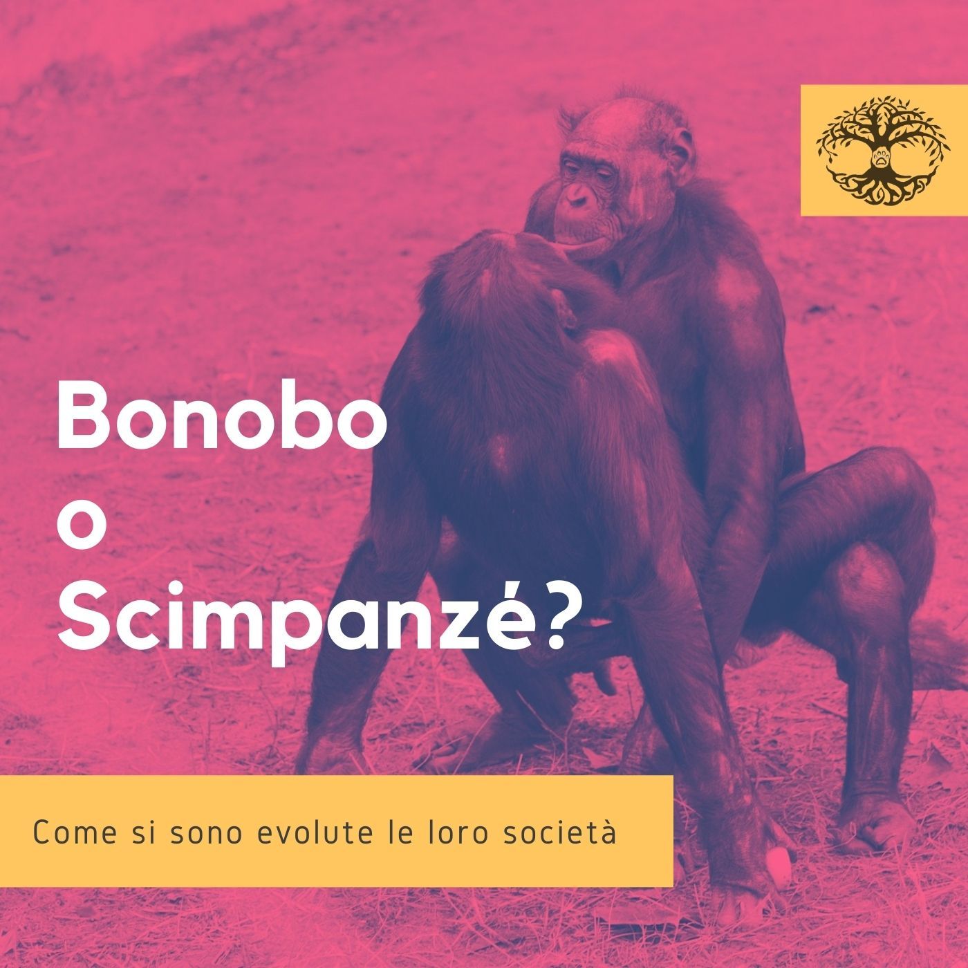 Impronta Animale