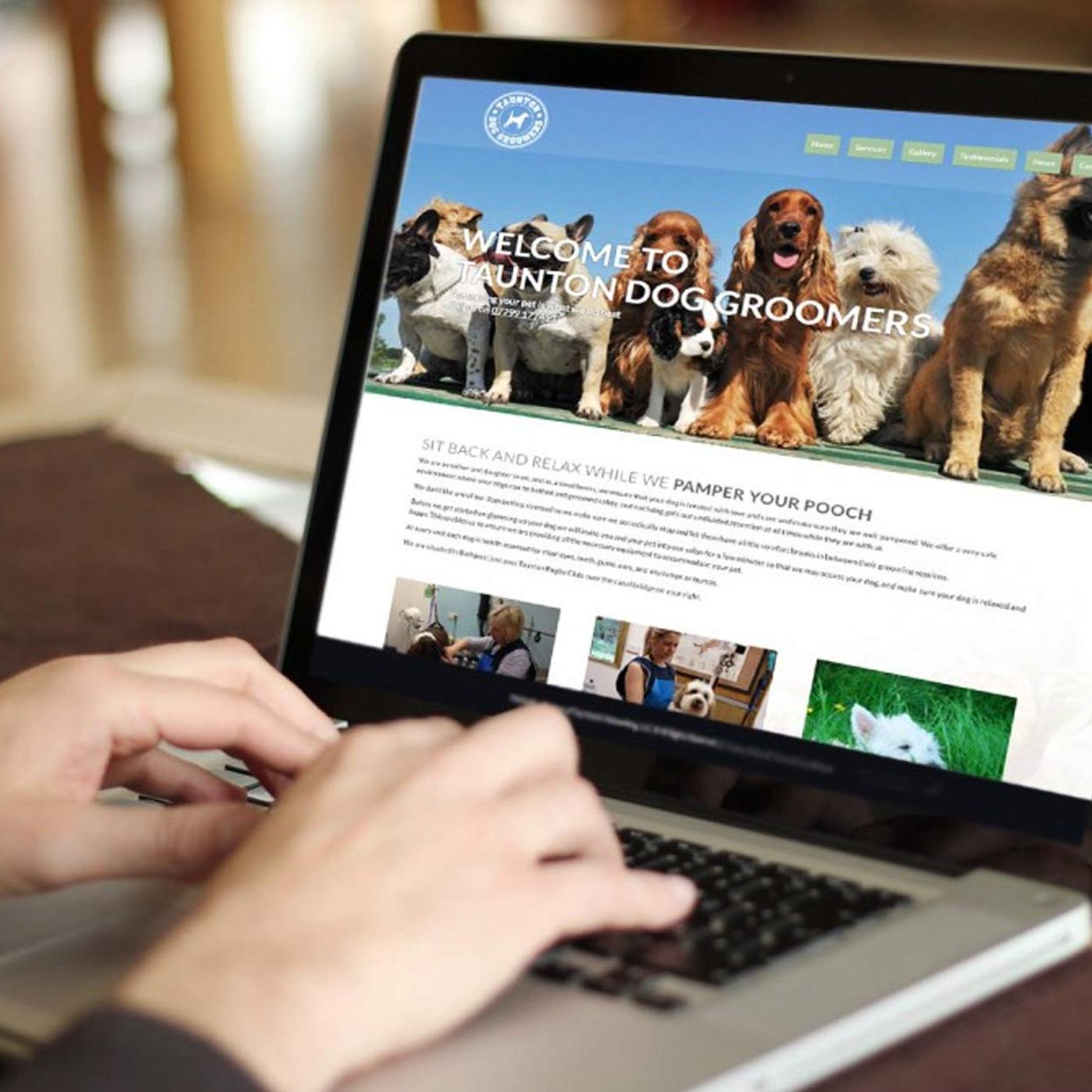 thiết kế website