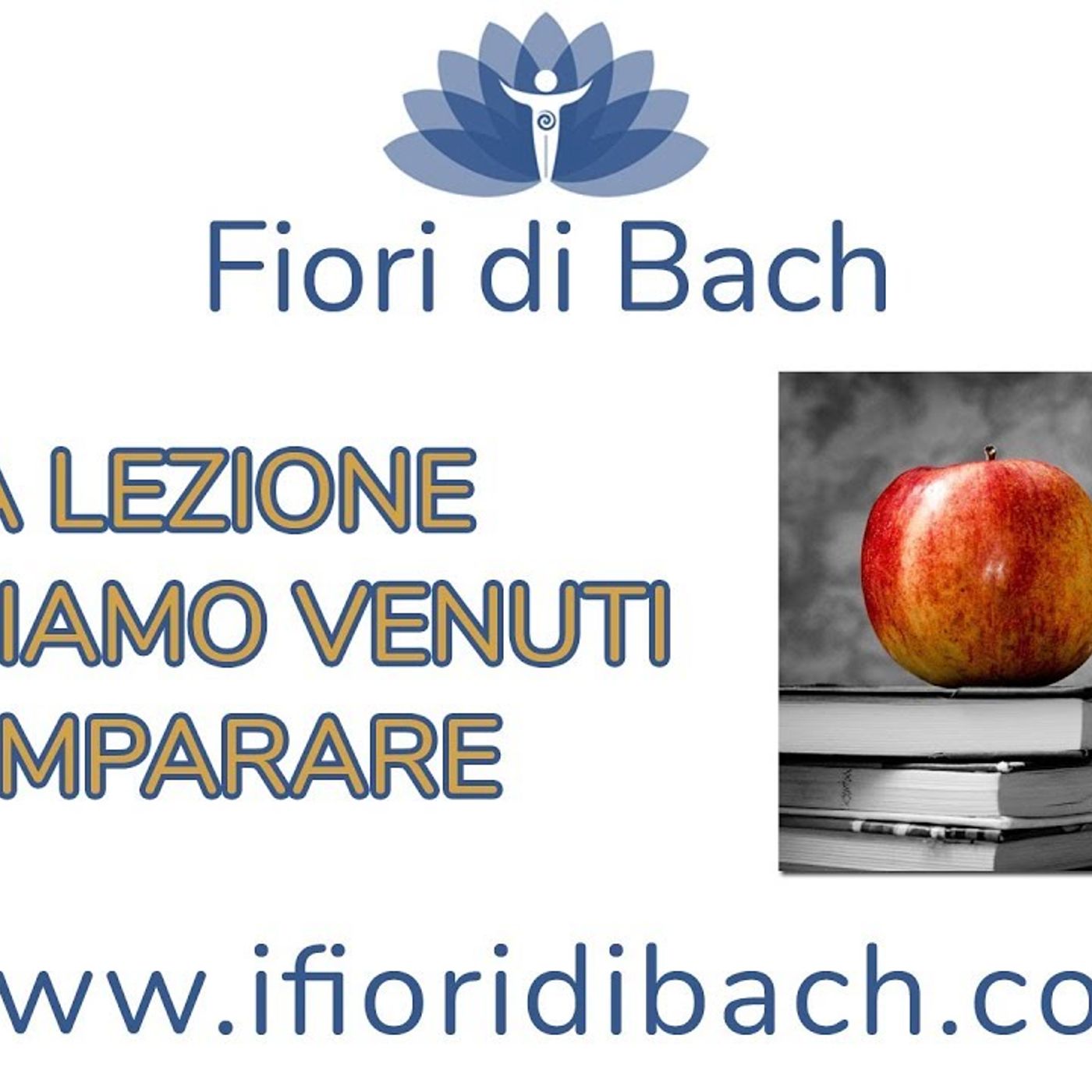 La lezione che siamo chiamati ad apprendere episode artwork