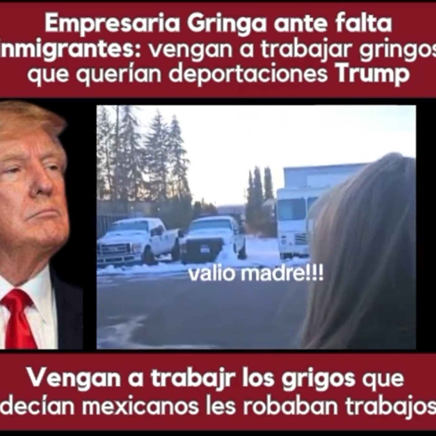 Empresaria Gringa ante falta inmigrantes: vengan a trabajar gringos que querían deportaciones Trump episode artwork