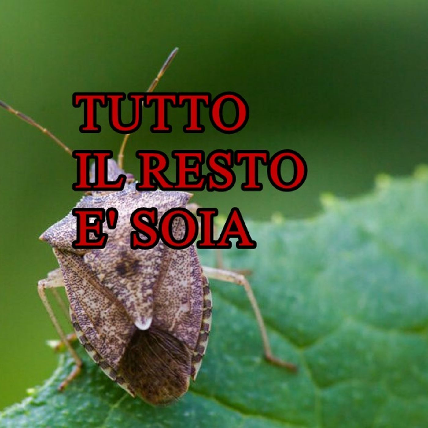 TUTTO IL RESTO E' SOIA