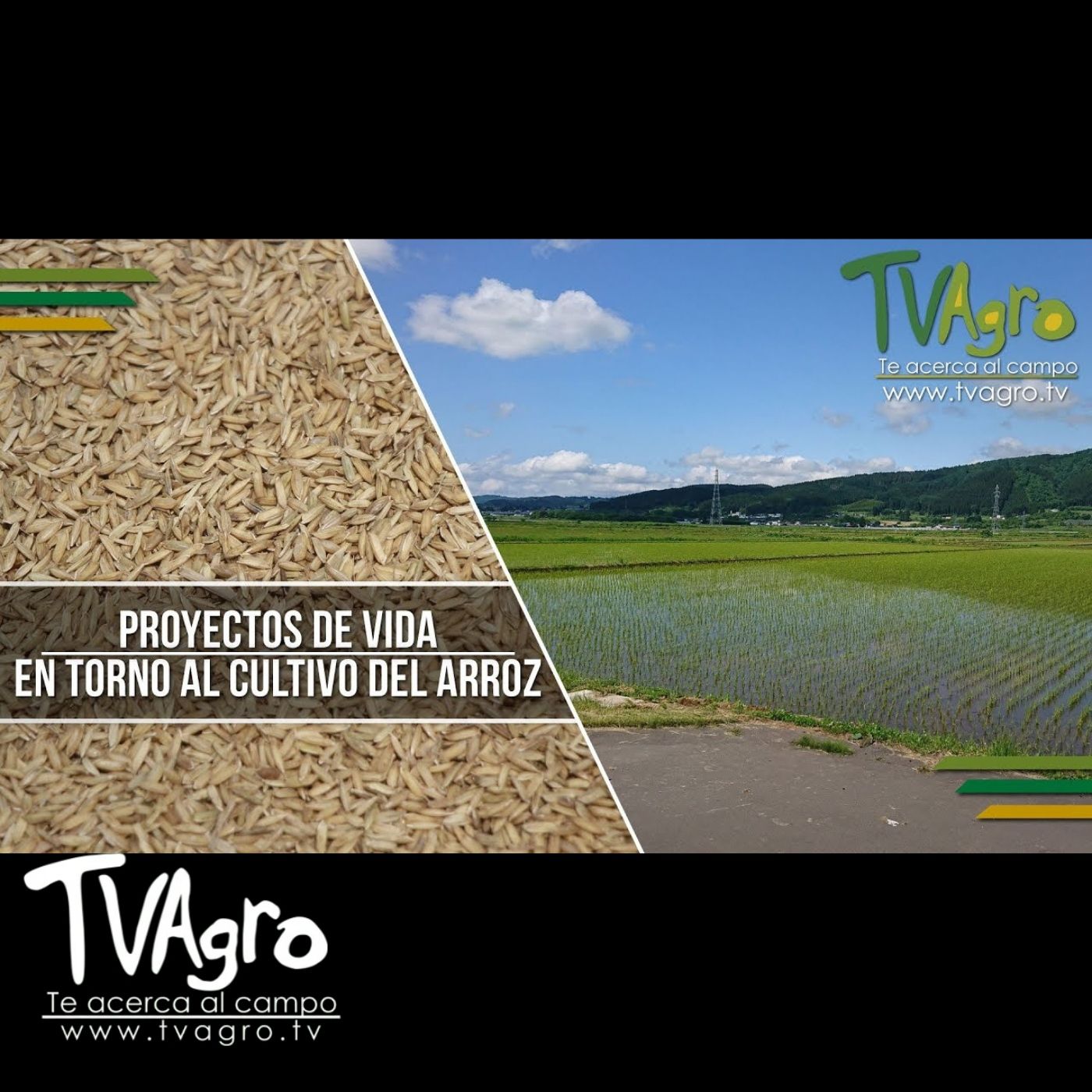 TV AGRO
