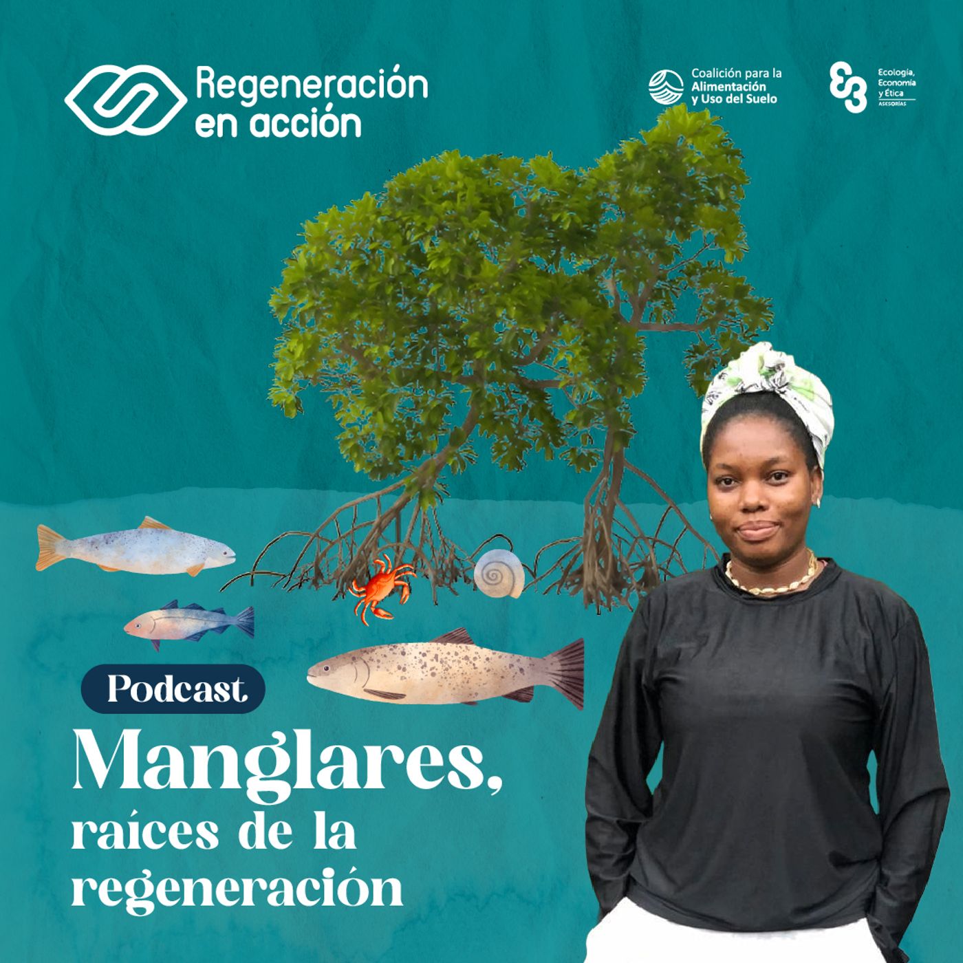 Ep. 4 Manglares, raíces de la regeneración