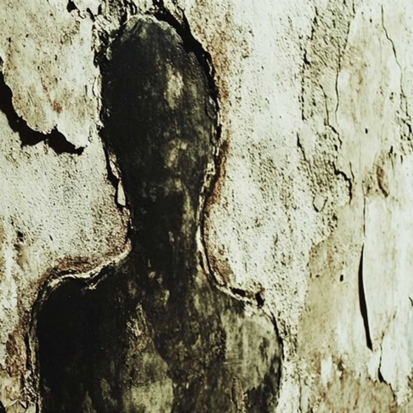 RESTOS HUMANOS En Mi CASA Historias De Terror - REDE