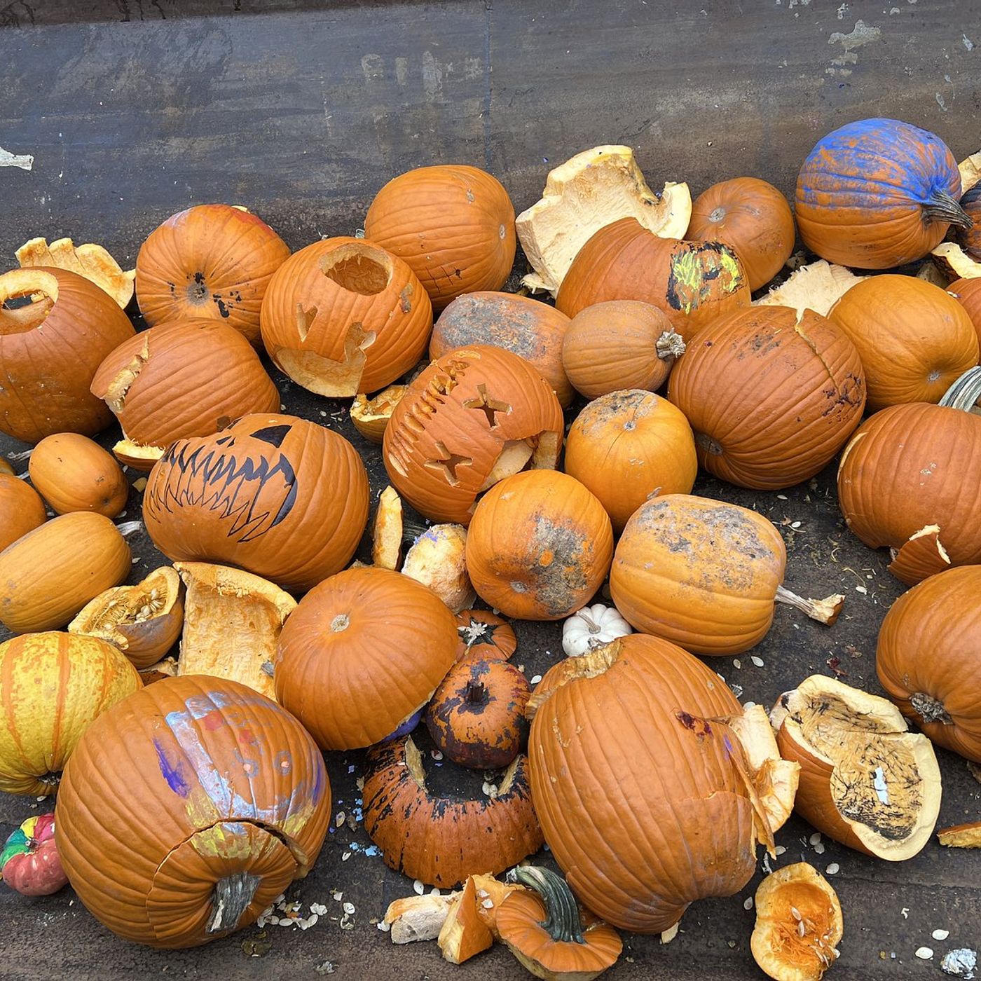 Smash pumpkins in Geneva Saturday