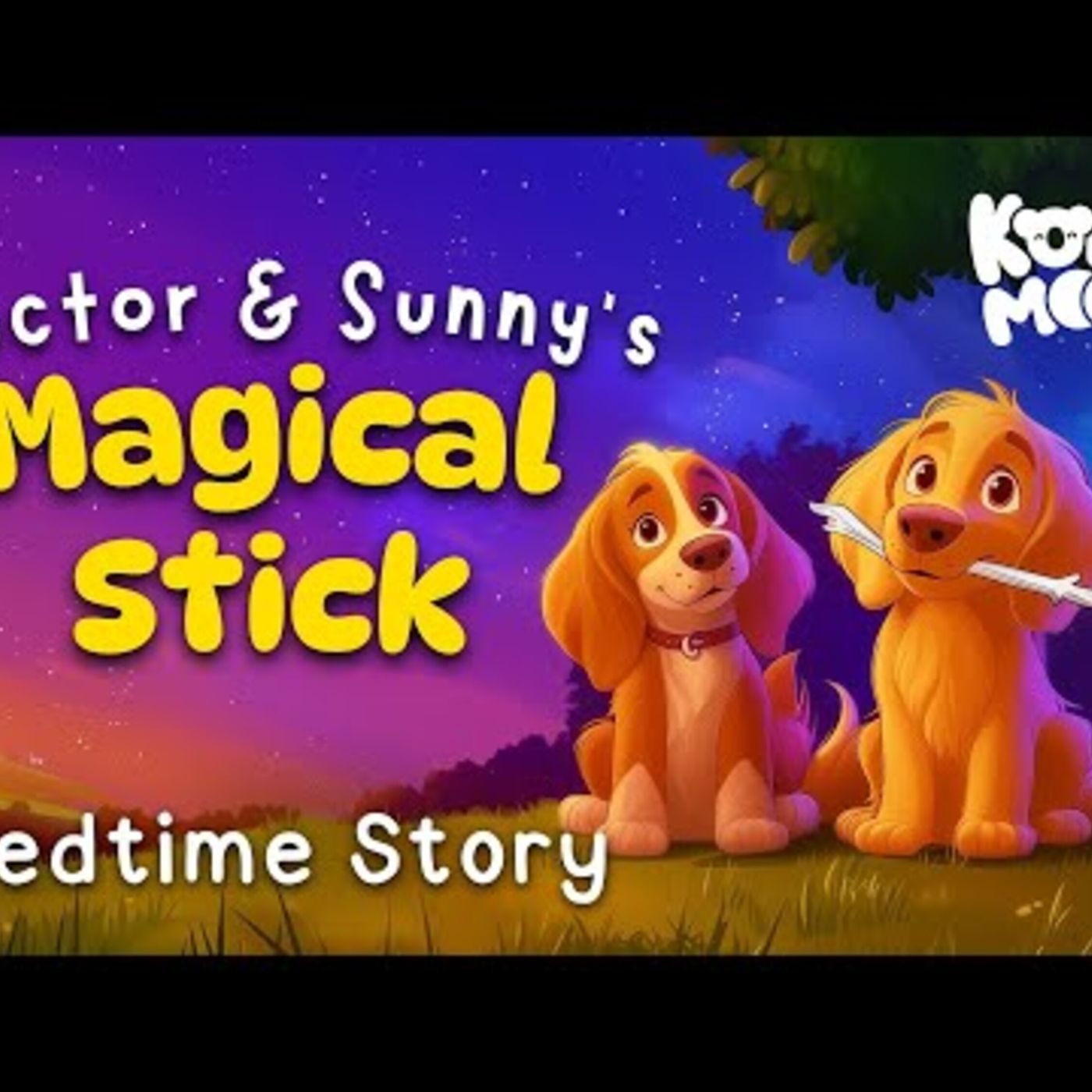Hector _ Sunny_s Magical Stick ✨ Relaxing Bedtime Stories To Help Kids Sleep  Koala Moon episode artwork
