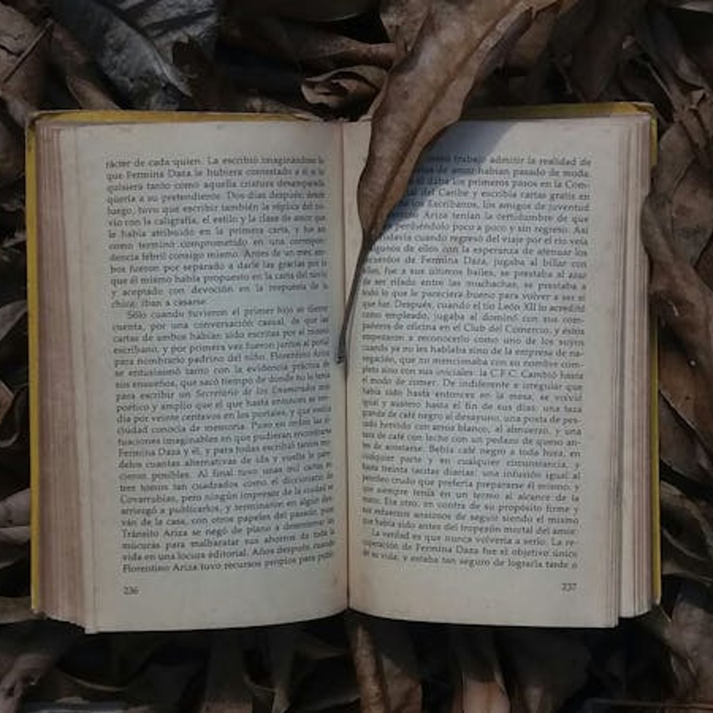 On Creepy, Darker Media