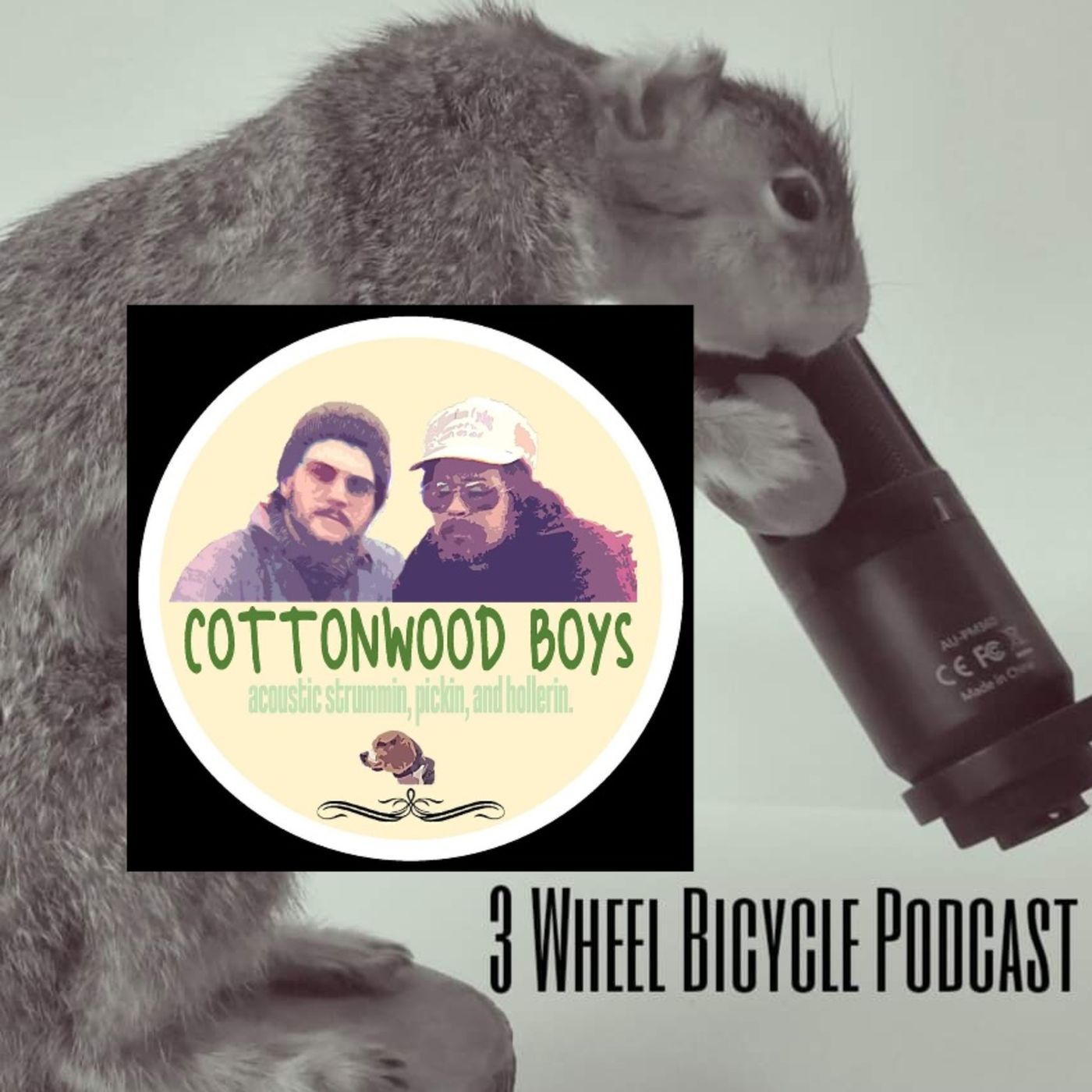 3 Wheel Bicycle Podcast