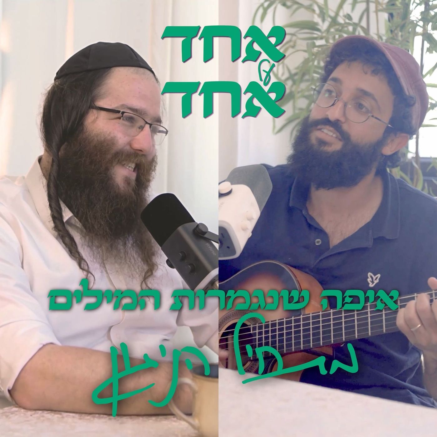 איפה שנגמרות המילים מתחיל הניגון | פודקאסט חיפאי אחד על אחד episode artwork