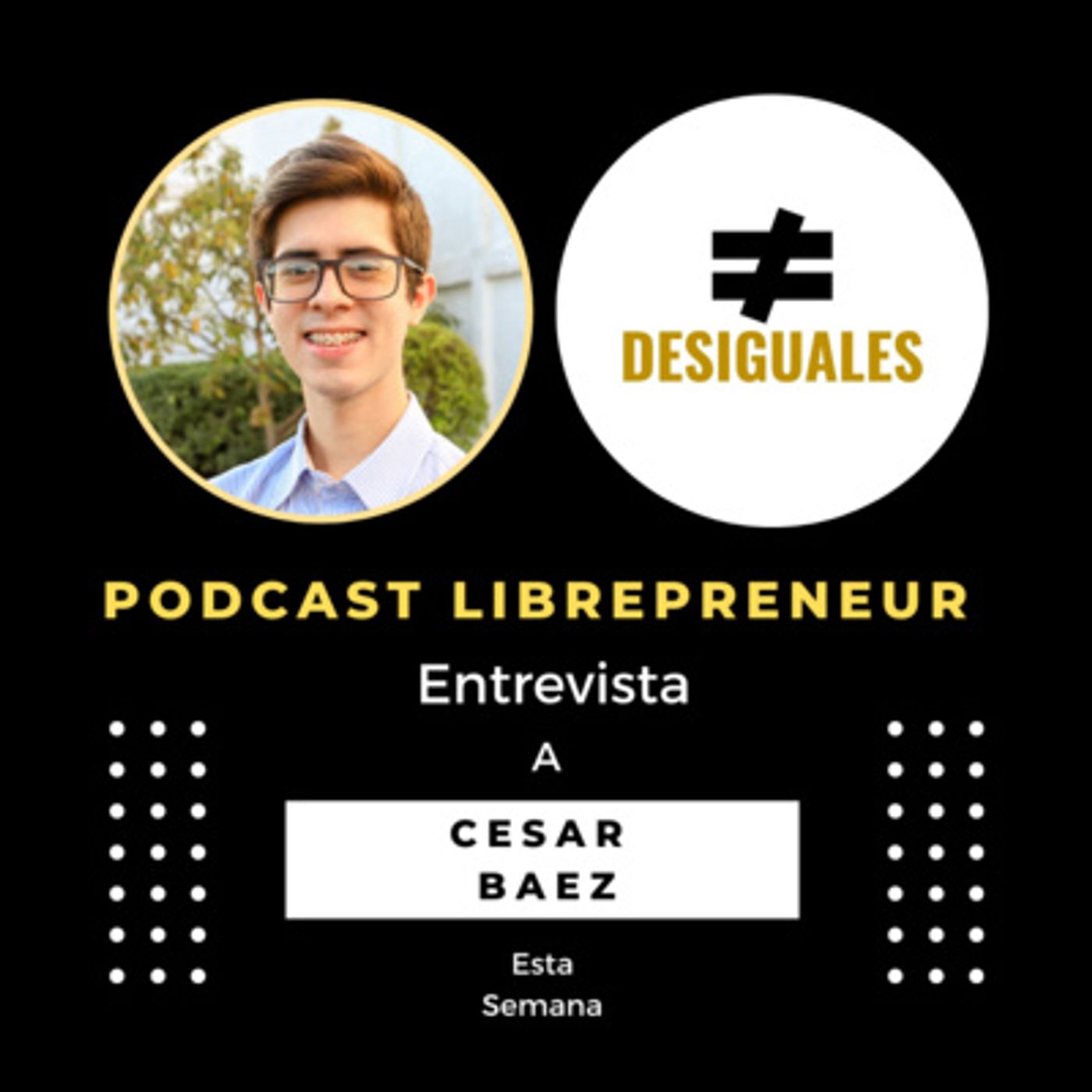 Librepreneur