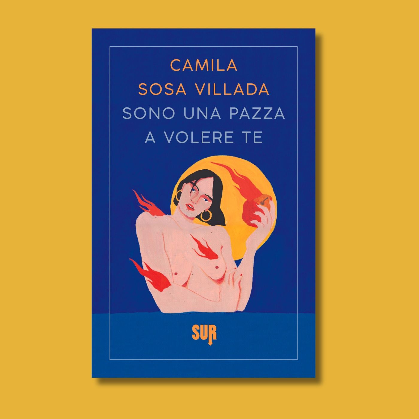 Cartoline dalle librerie