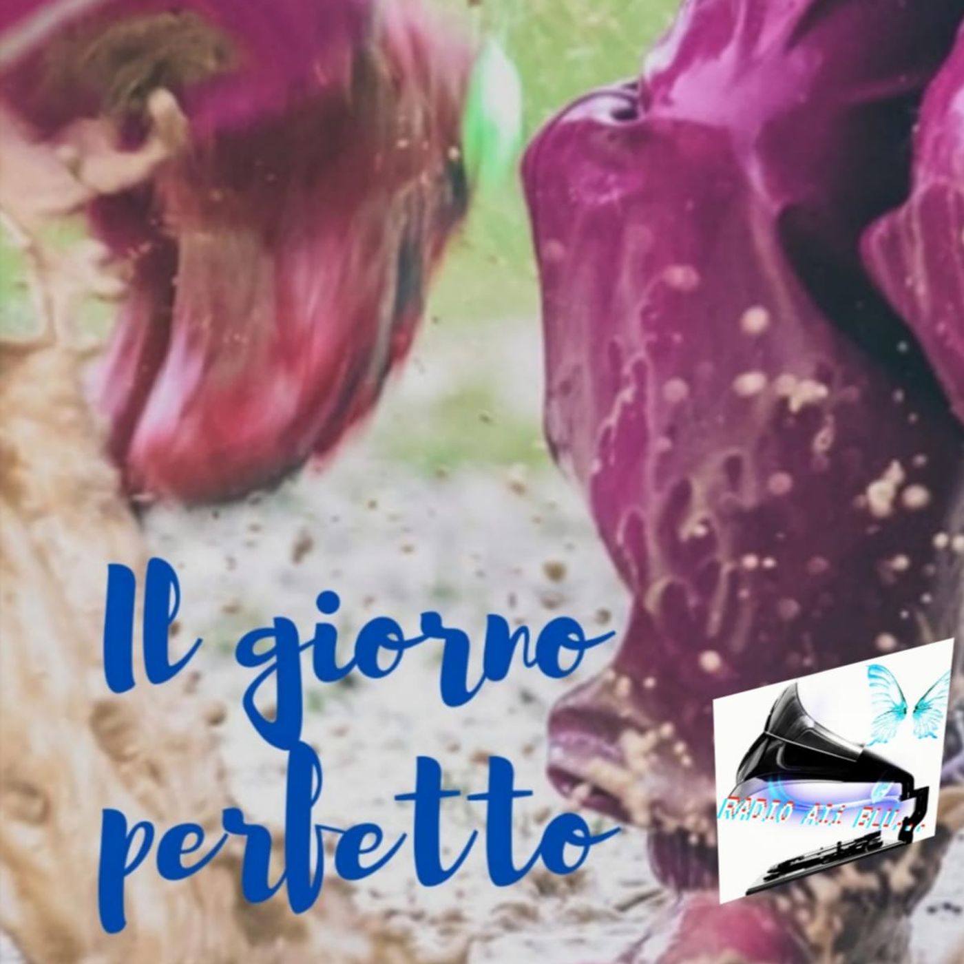 Radio Ali Blu... Il podcast delle emozioni!