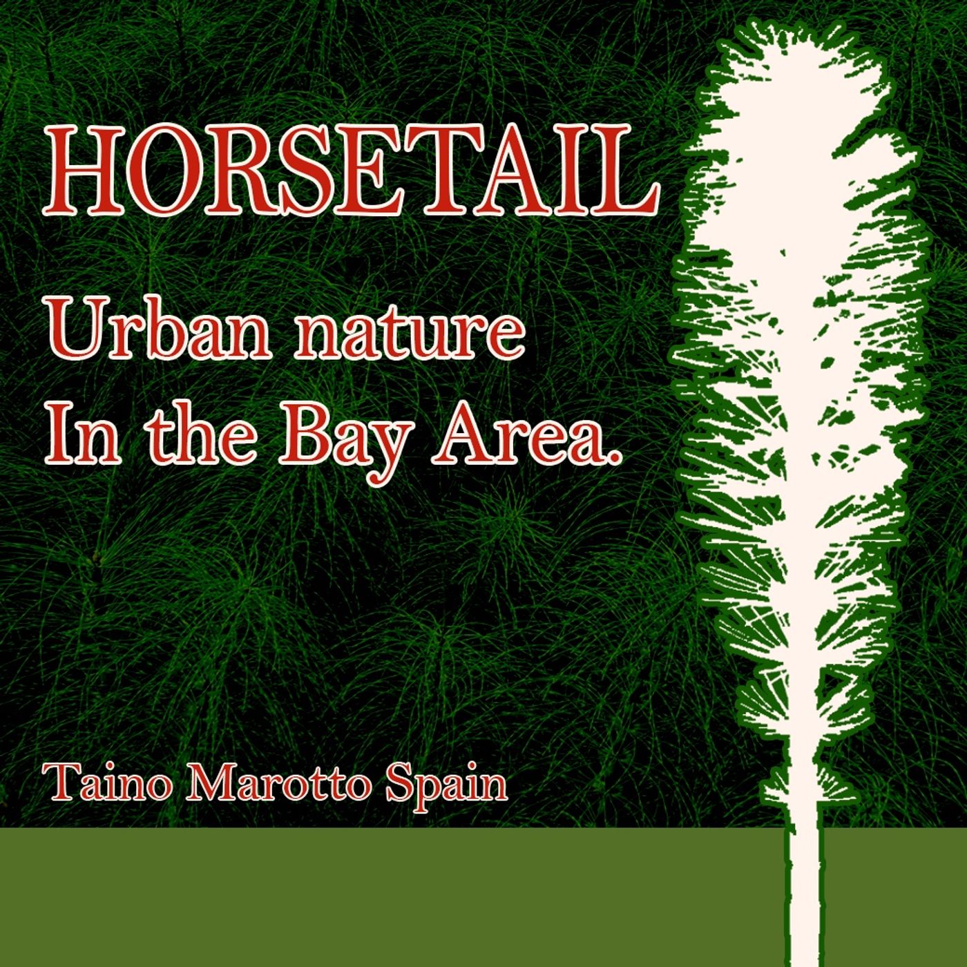Horsetail: Urban Nature in the Bay Area